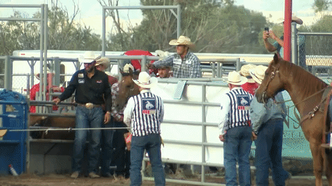 Helena Bulldogger becomes hometown hero at Last Chance Stampede