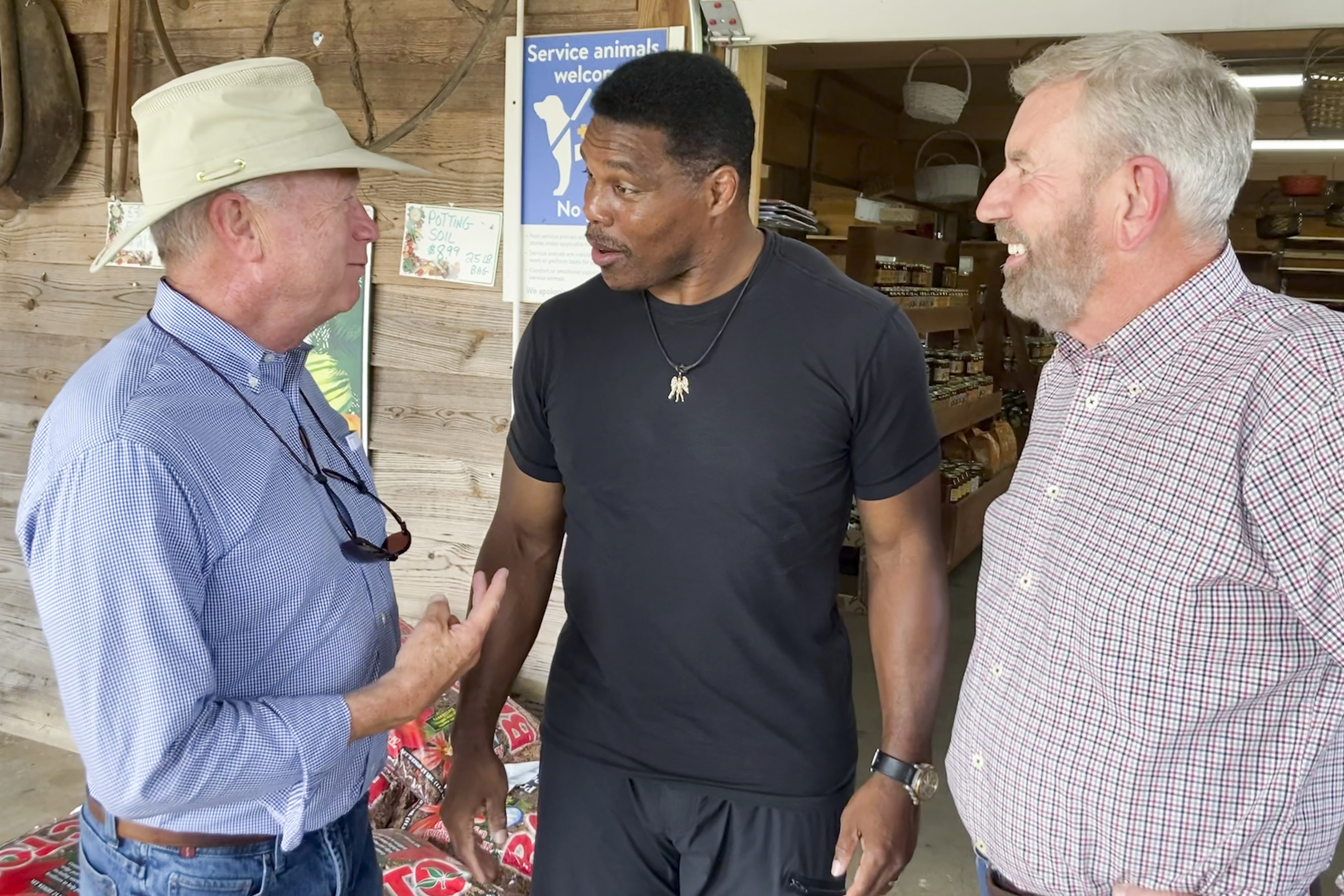 Election 2022 Georgia Senate