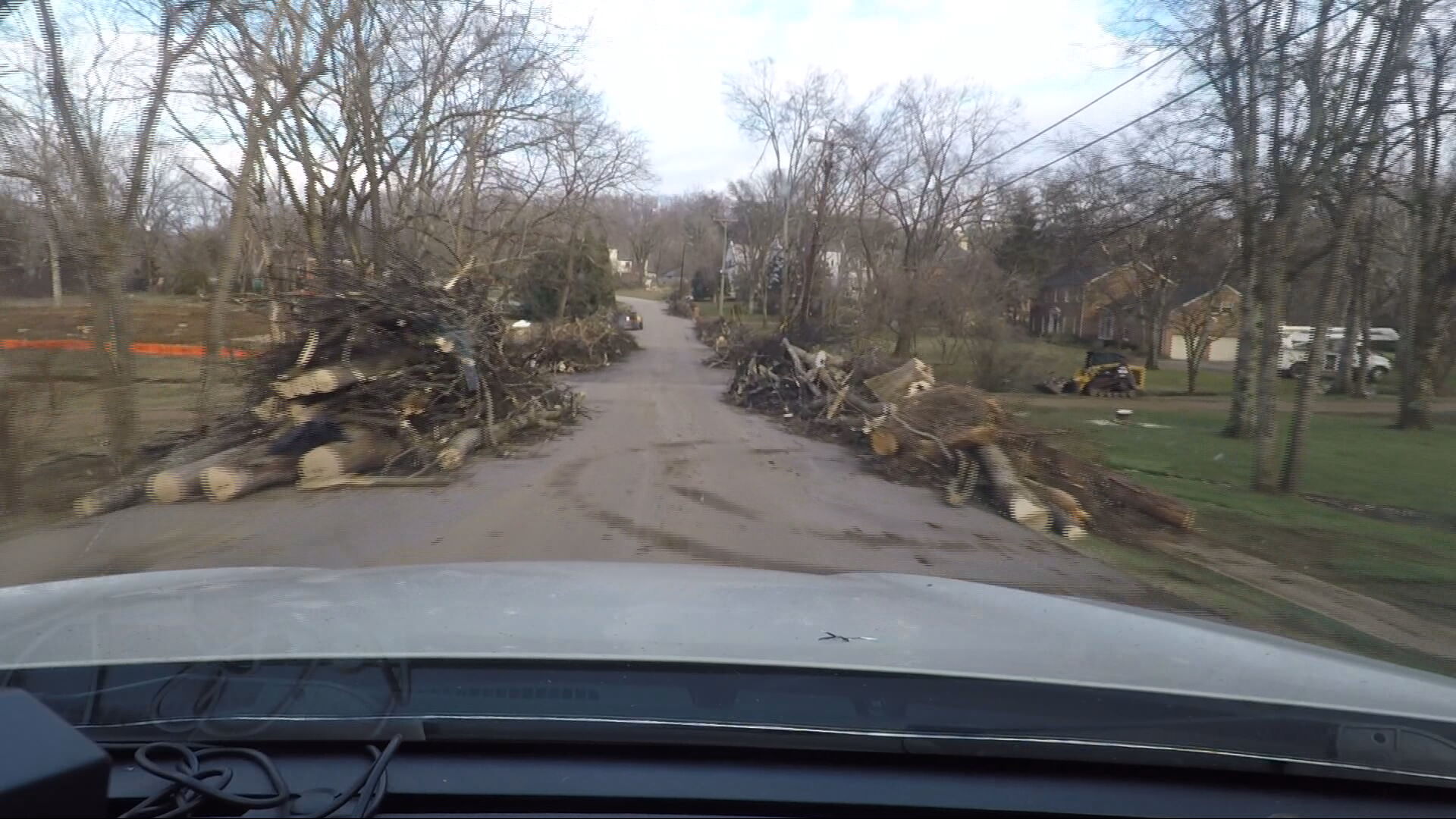 What happens to the trees RAW_frame_44760.jpeg