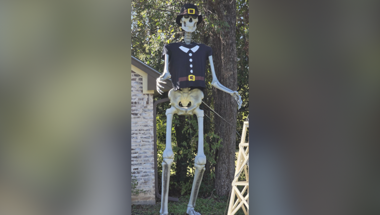 Gomez the Skeleton