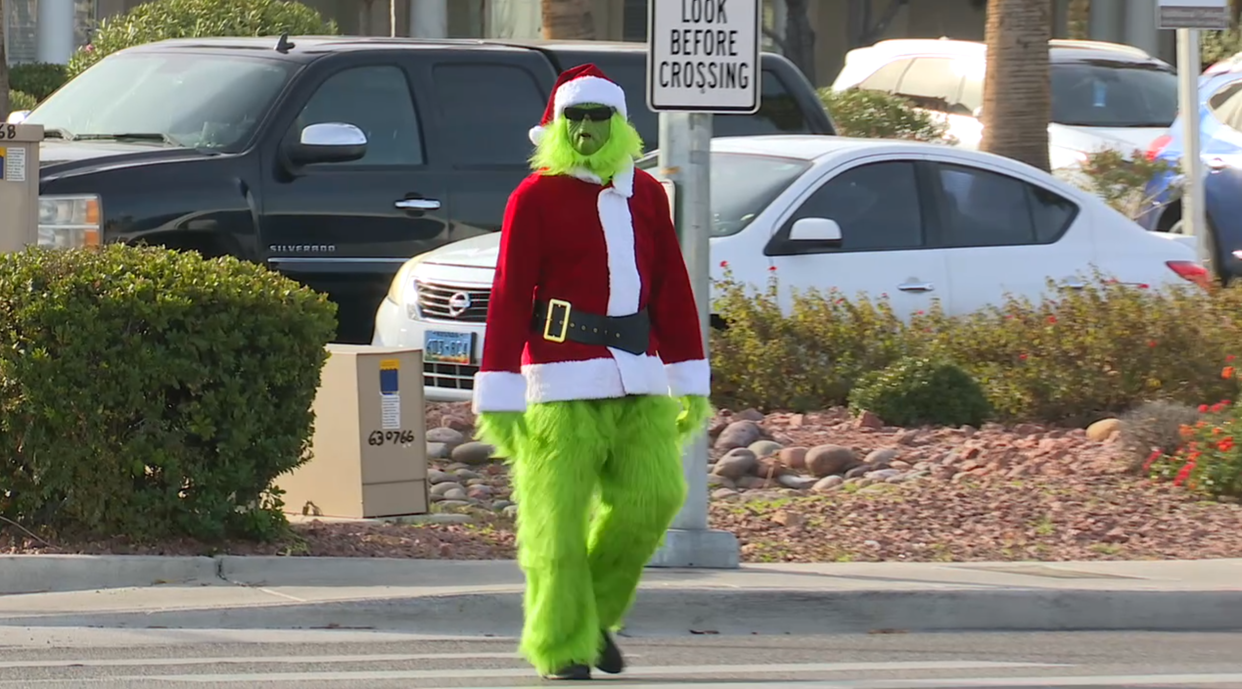 'Don't be a Grinch!': Police remind drivers to watch out for pedestrians this holiday season