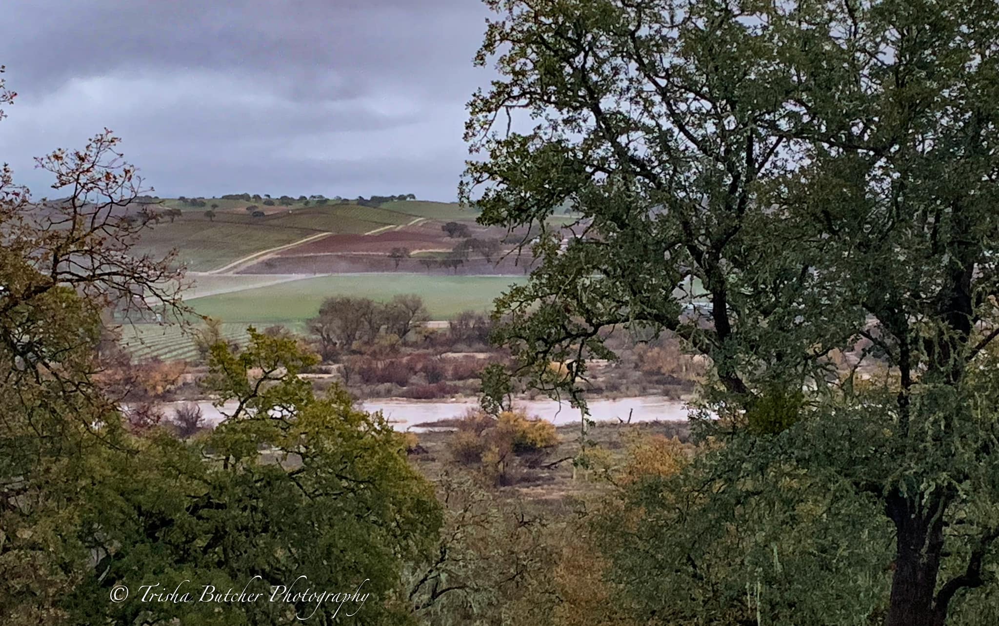 Rain on the Central Coast