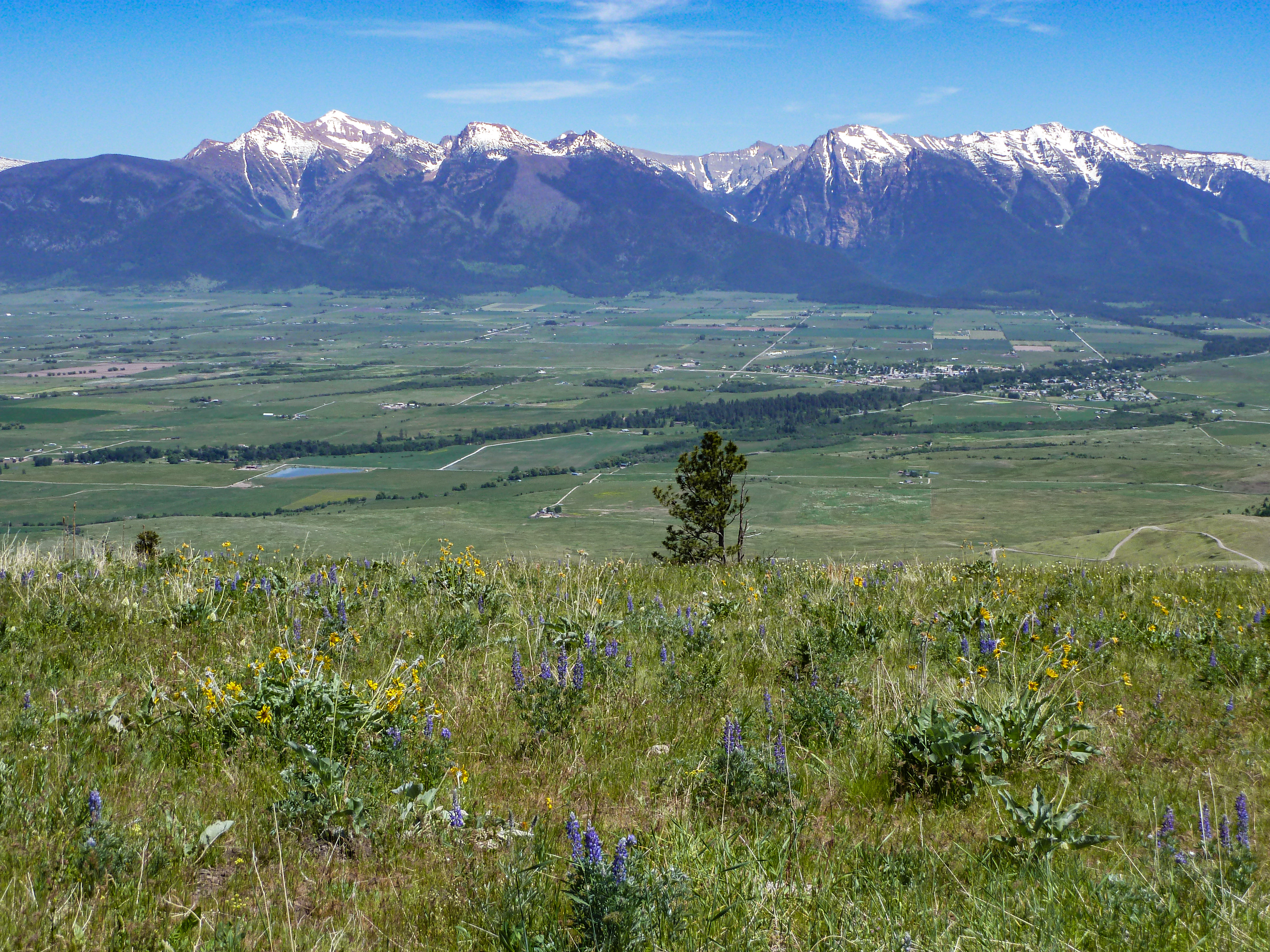 View of Weaver Project from Bison Range