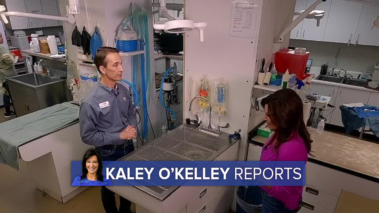 Kaley O'Kelley.png