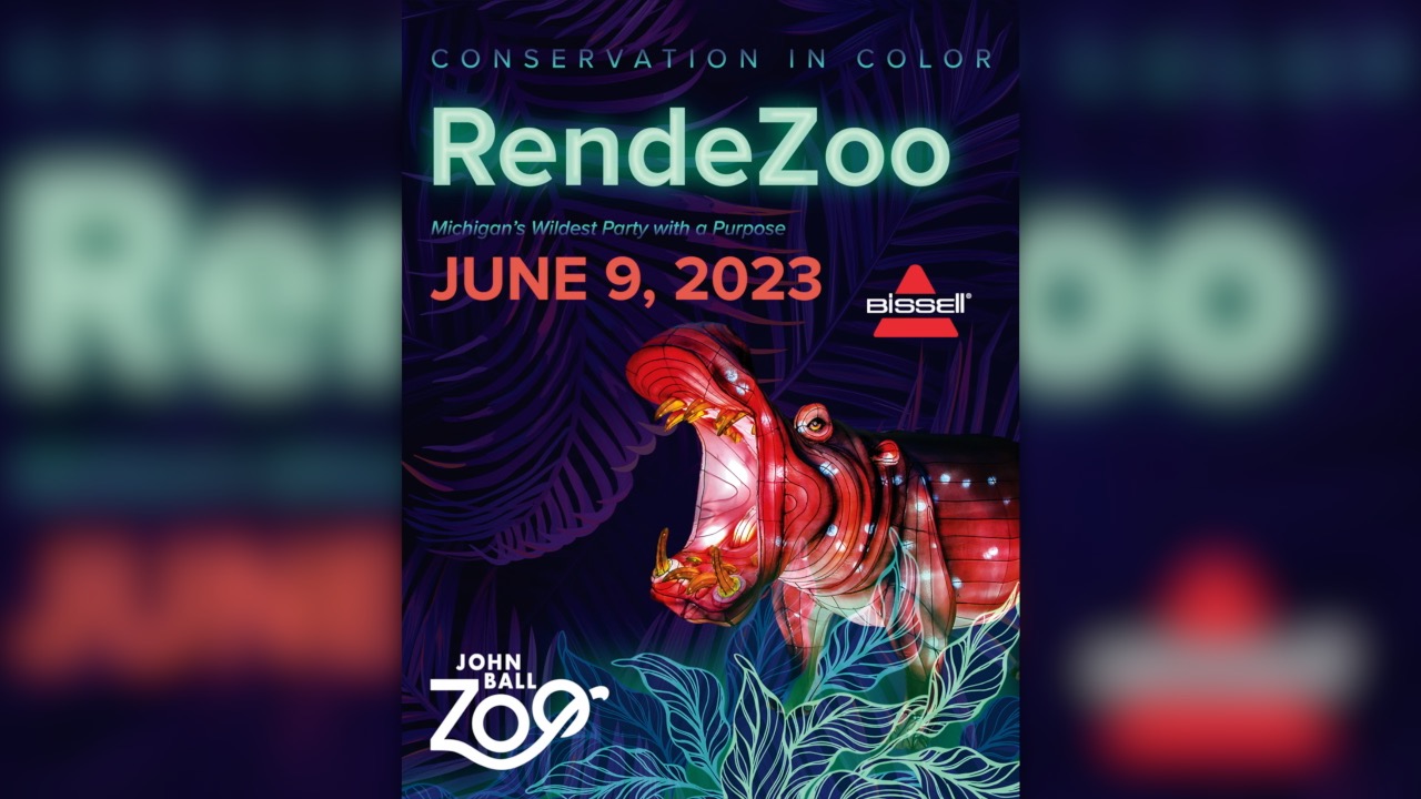 RendeZoo.jpg