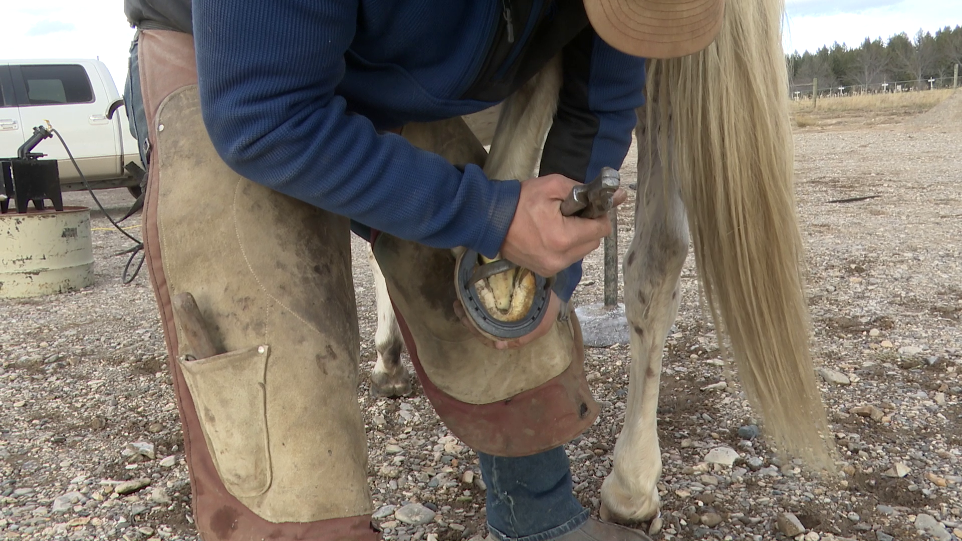 The art and craft of being a farrier