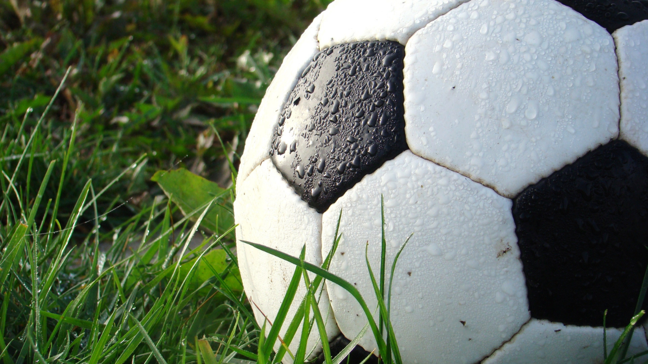 Soccer Ball (FILE)