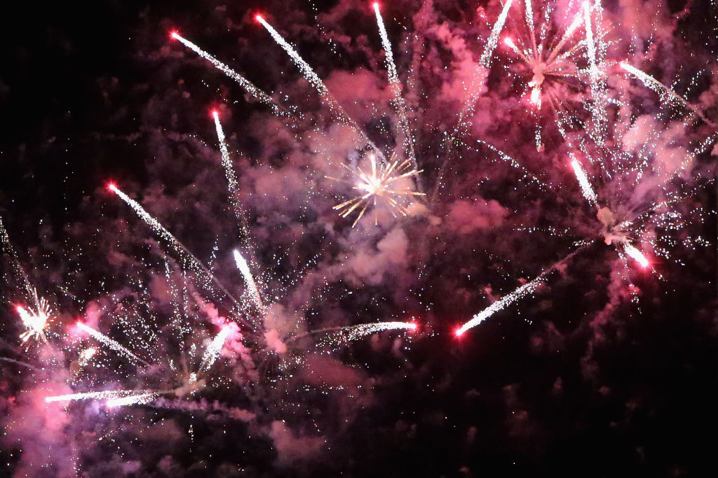 Michigan Humane Society: How to keep pets safe during fireworks