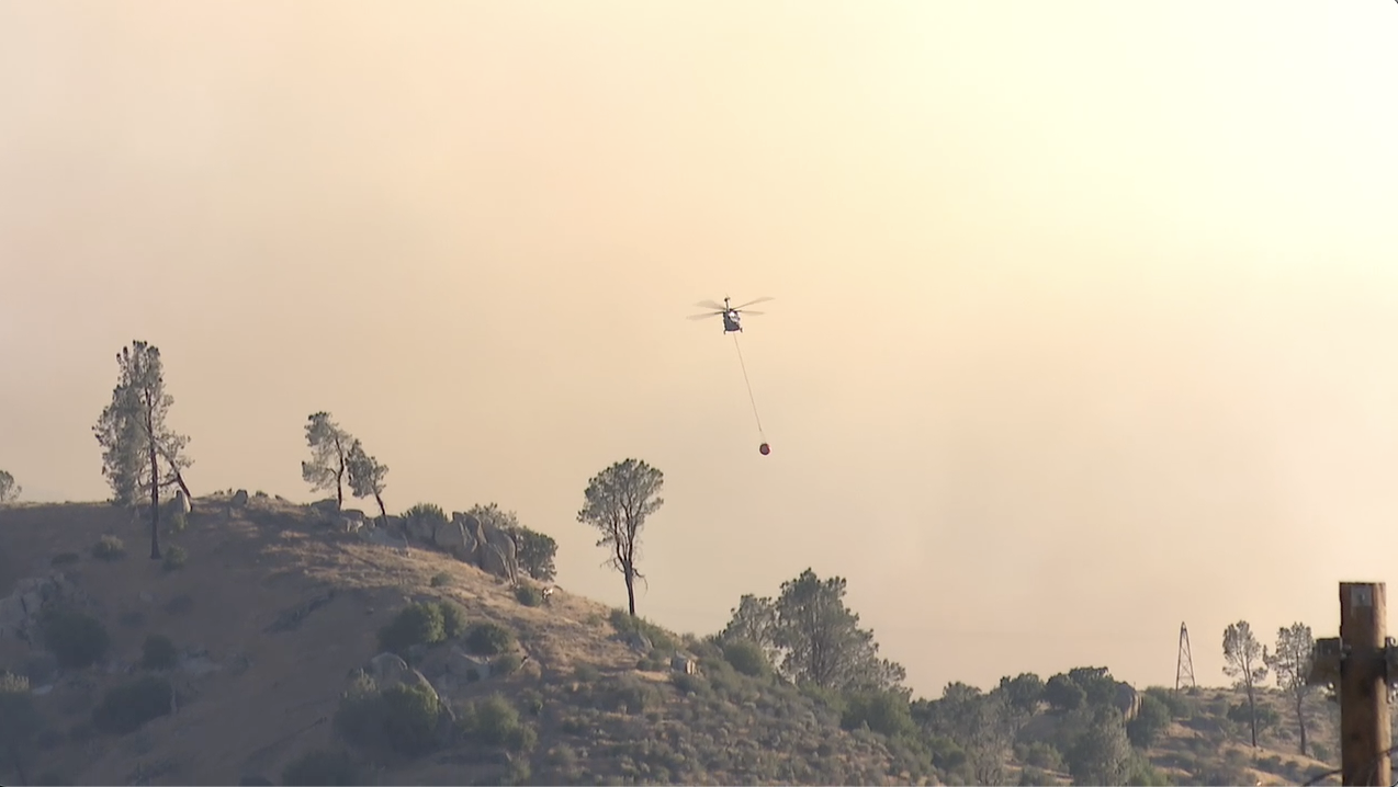 Screenshot 2024-07-29 at 11.45.34 AM.png