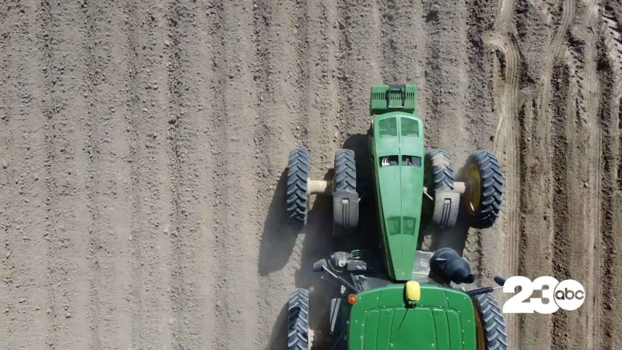 California Drought (FILE)