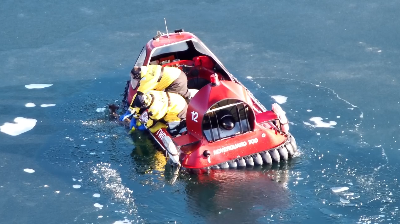 Plainfield Township deer rescue