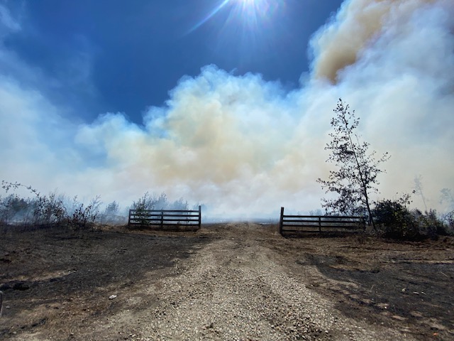 Controlled burn 02.jpg