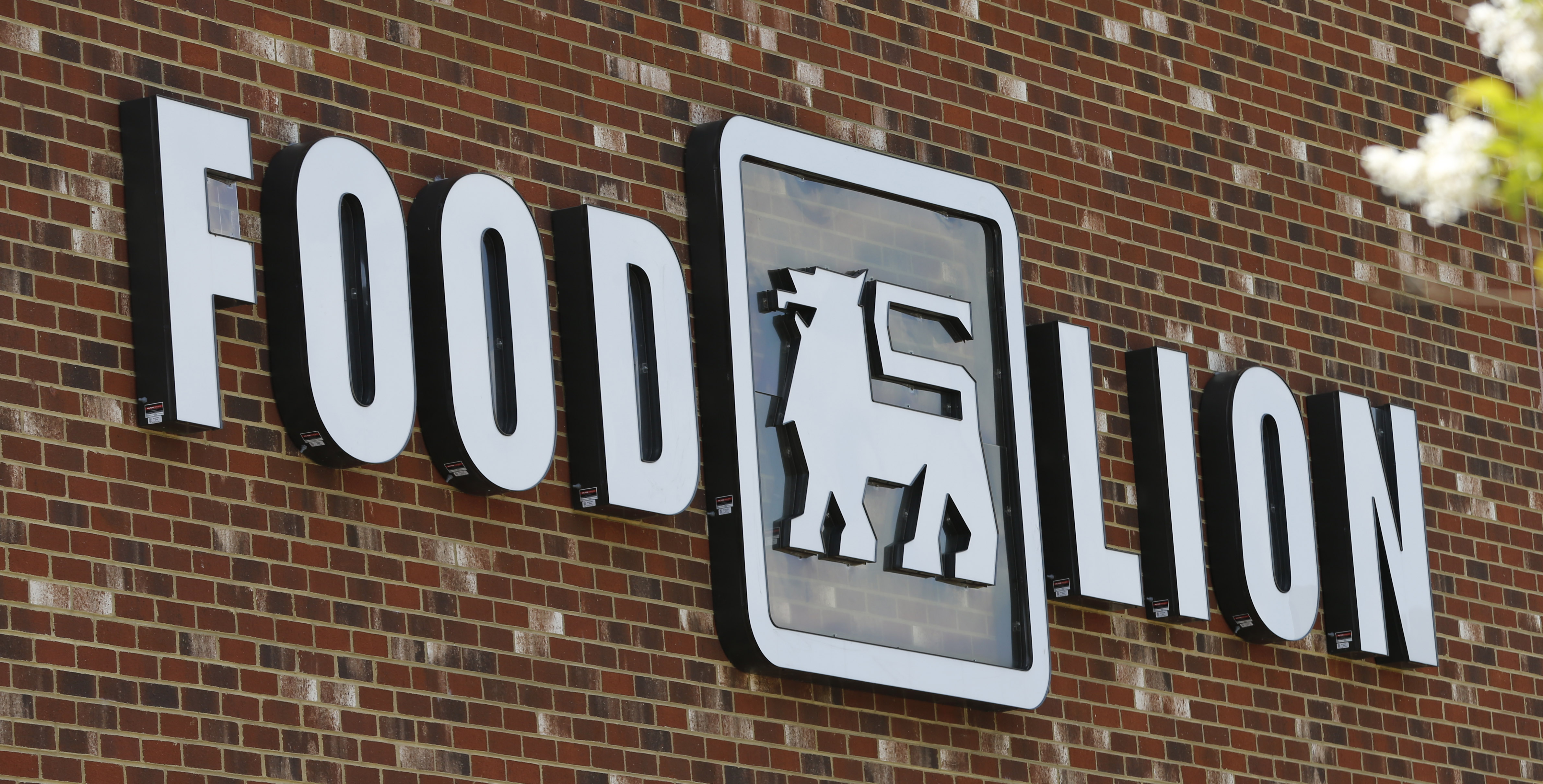 Food Lion store in Richmond, Va.