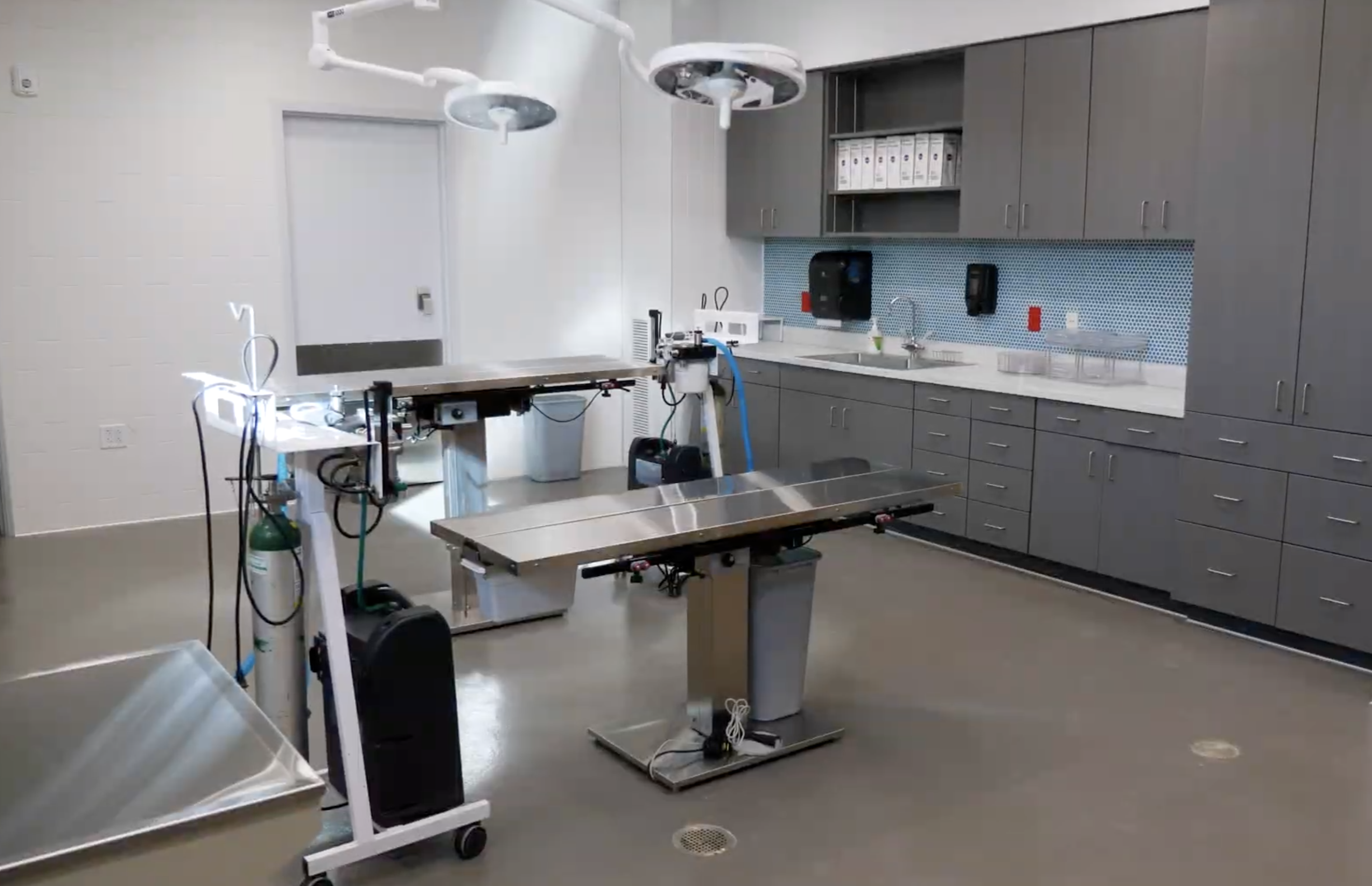 pinal county animal clinic 