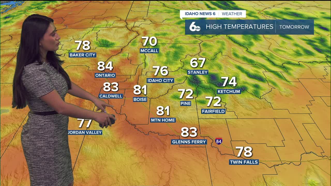Forecast 