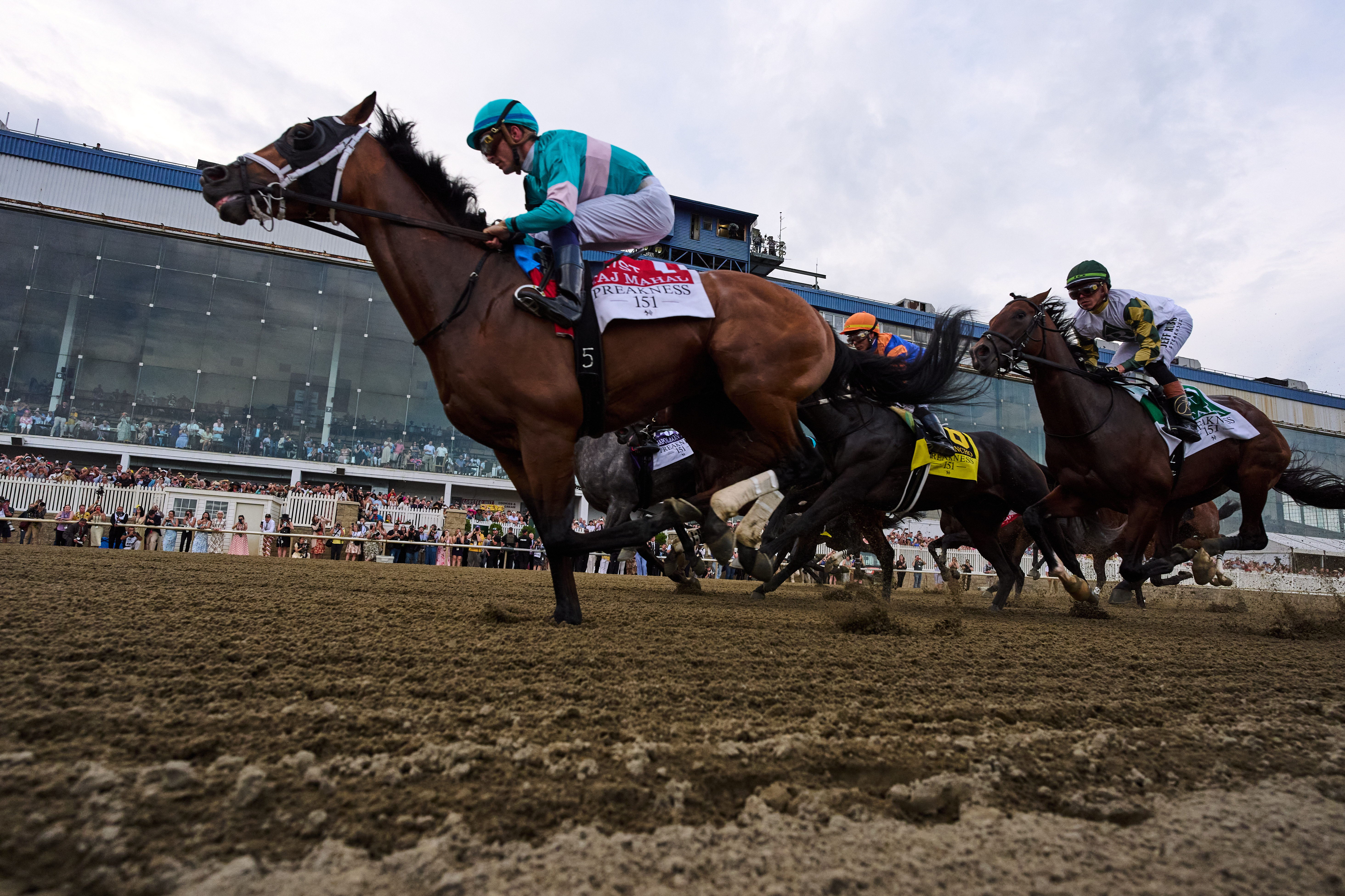 Preakness Horse Racing