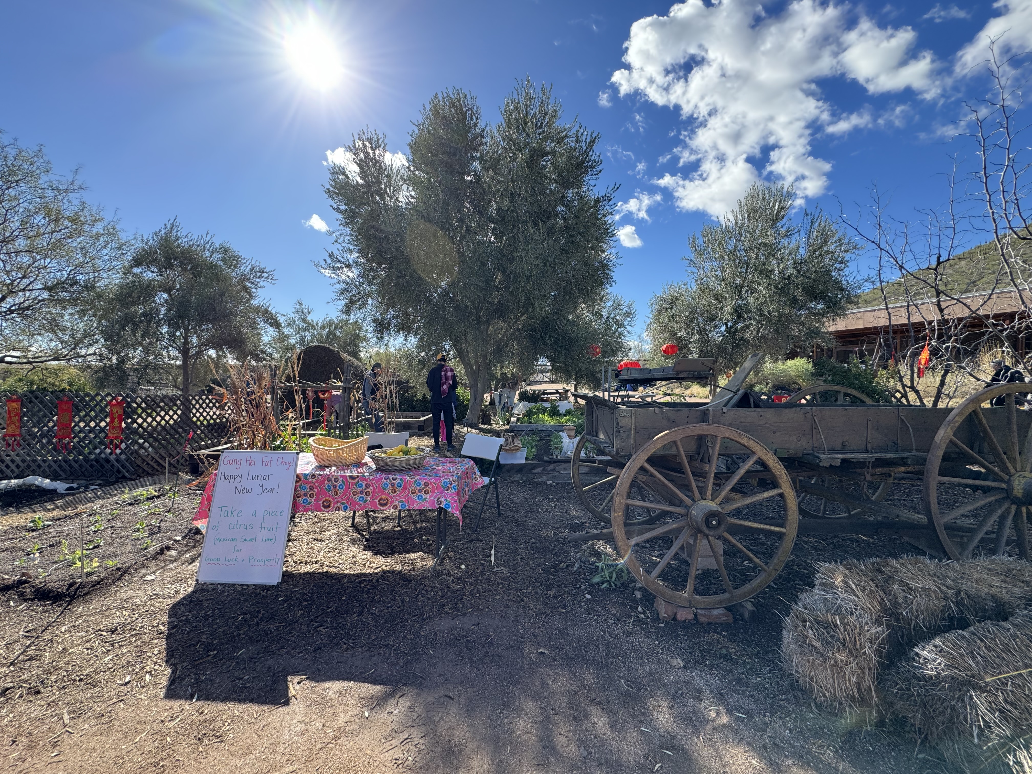 Lunar New Year celebration at Mission Garden