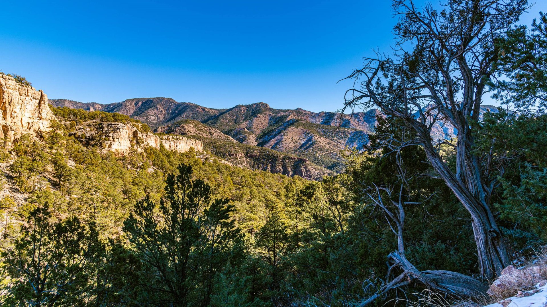 Near Canon City