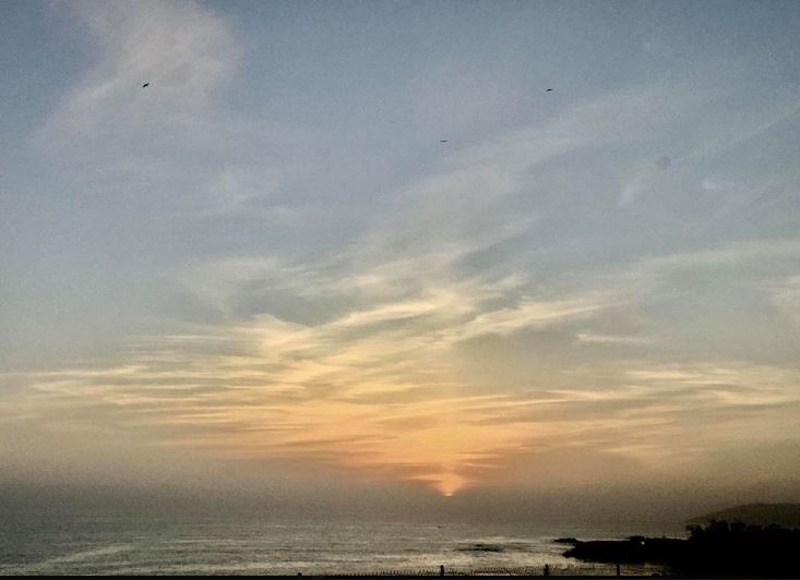 denise wiggin 030620.JPG