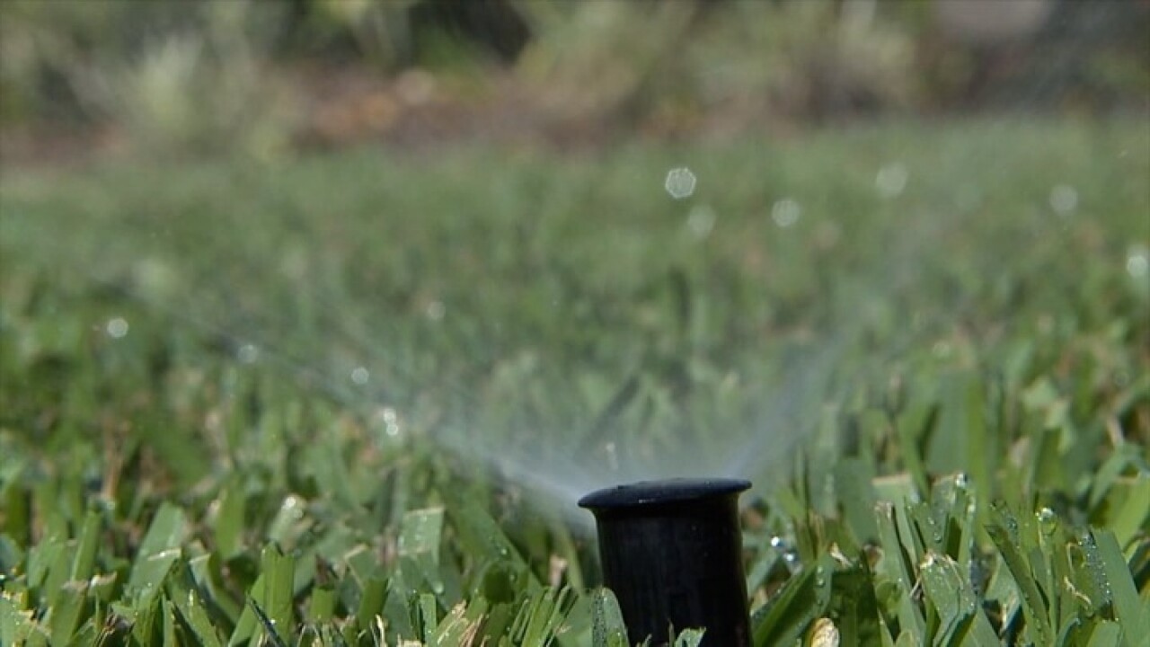 IFAS shares tips for lawns during current drought and upcoming watering restrictions
