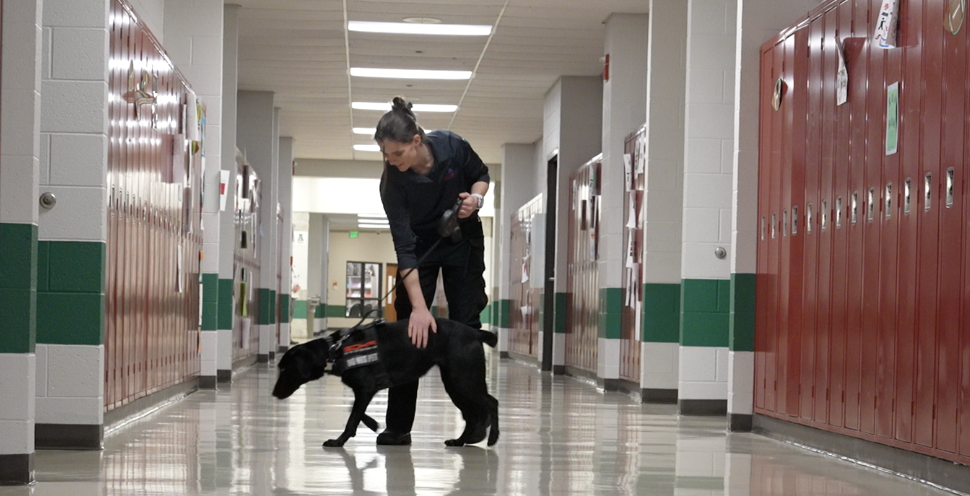 Williamston's K9 Detection program