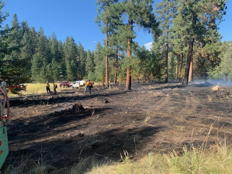 Rattlesnake Fire