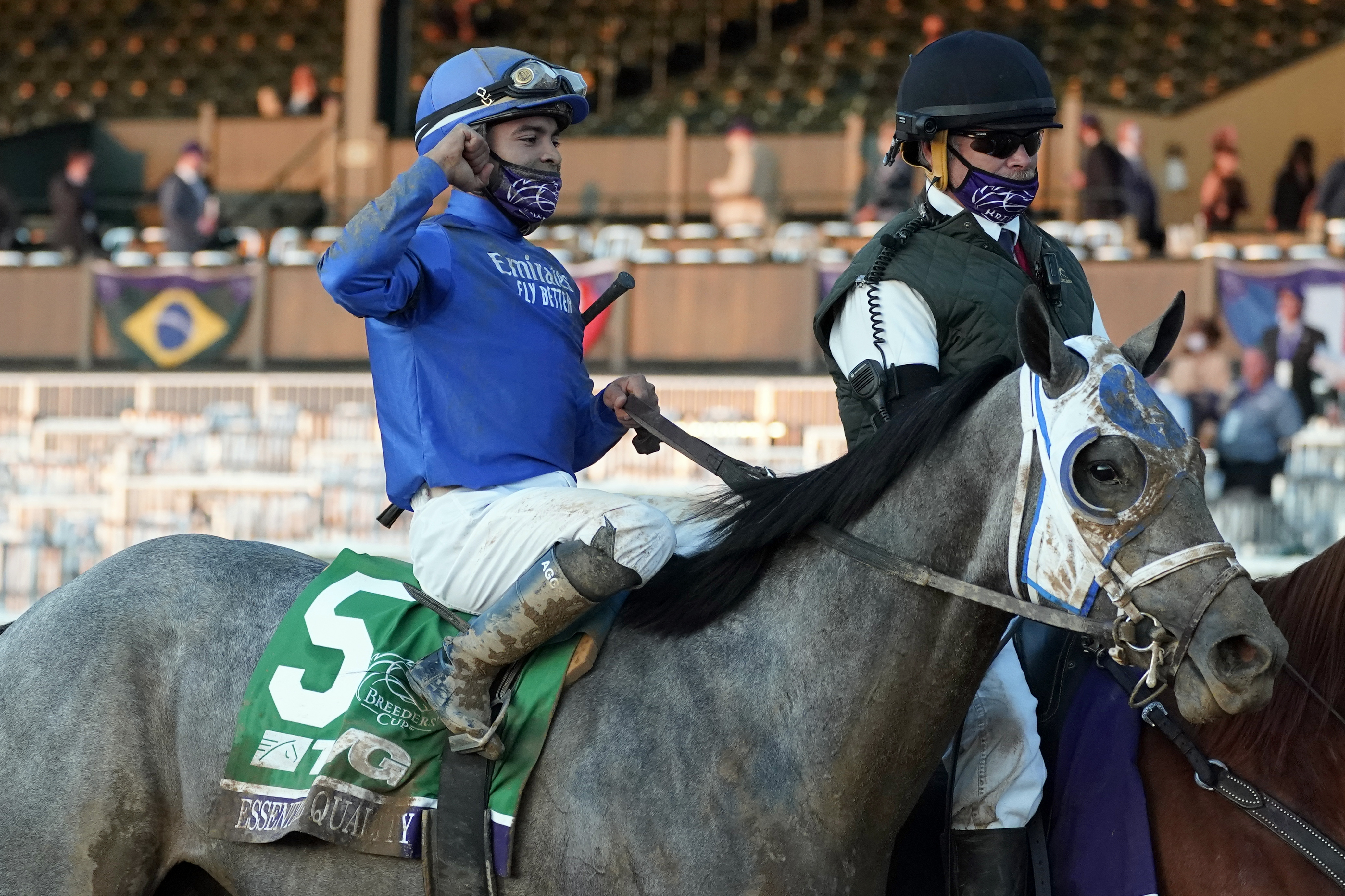 Breeders Cup Horse Racing