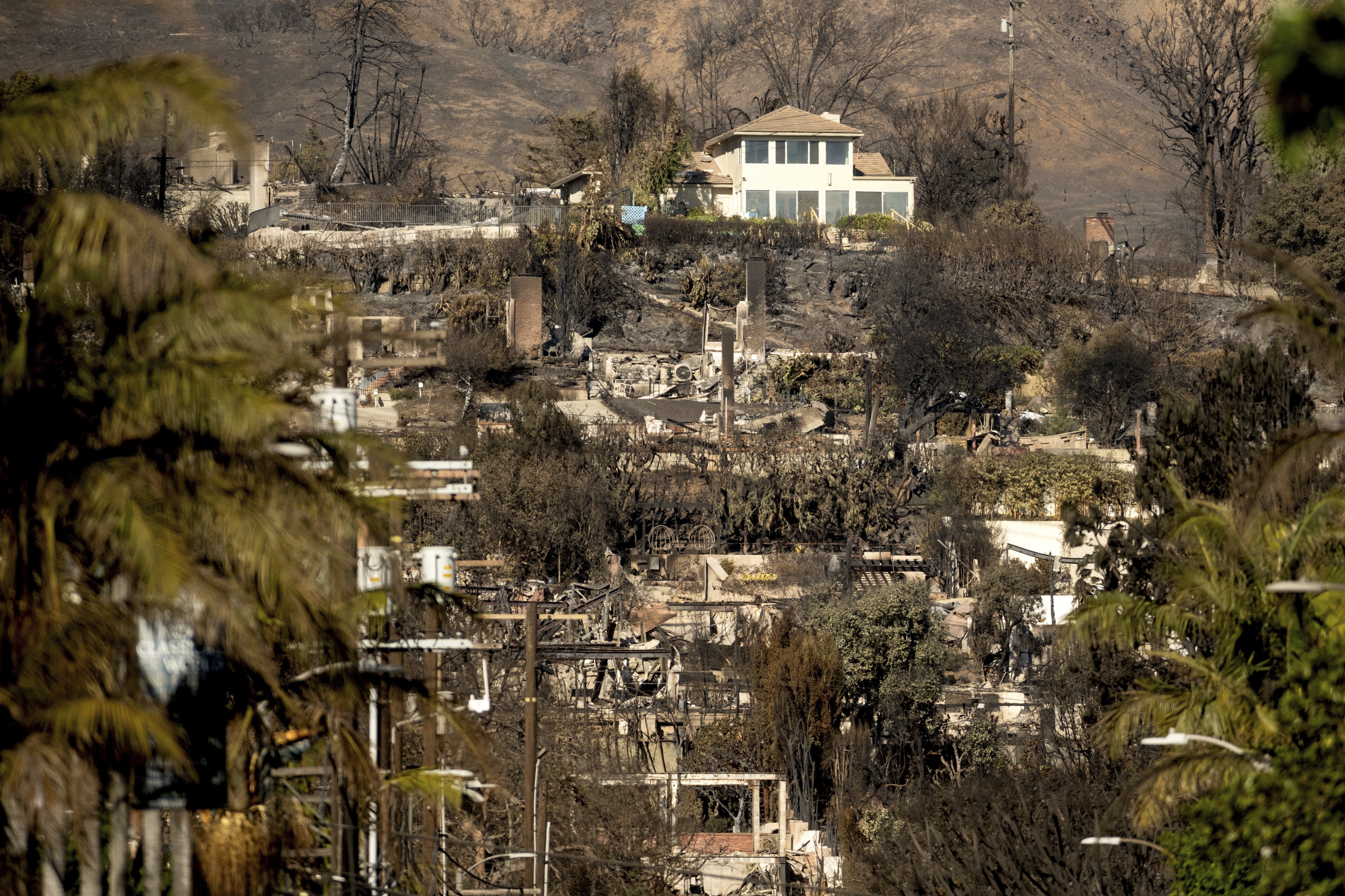 California Wildfires Houses Left Standing