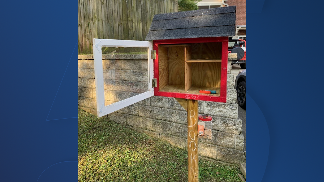 free little libraries 
