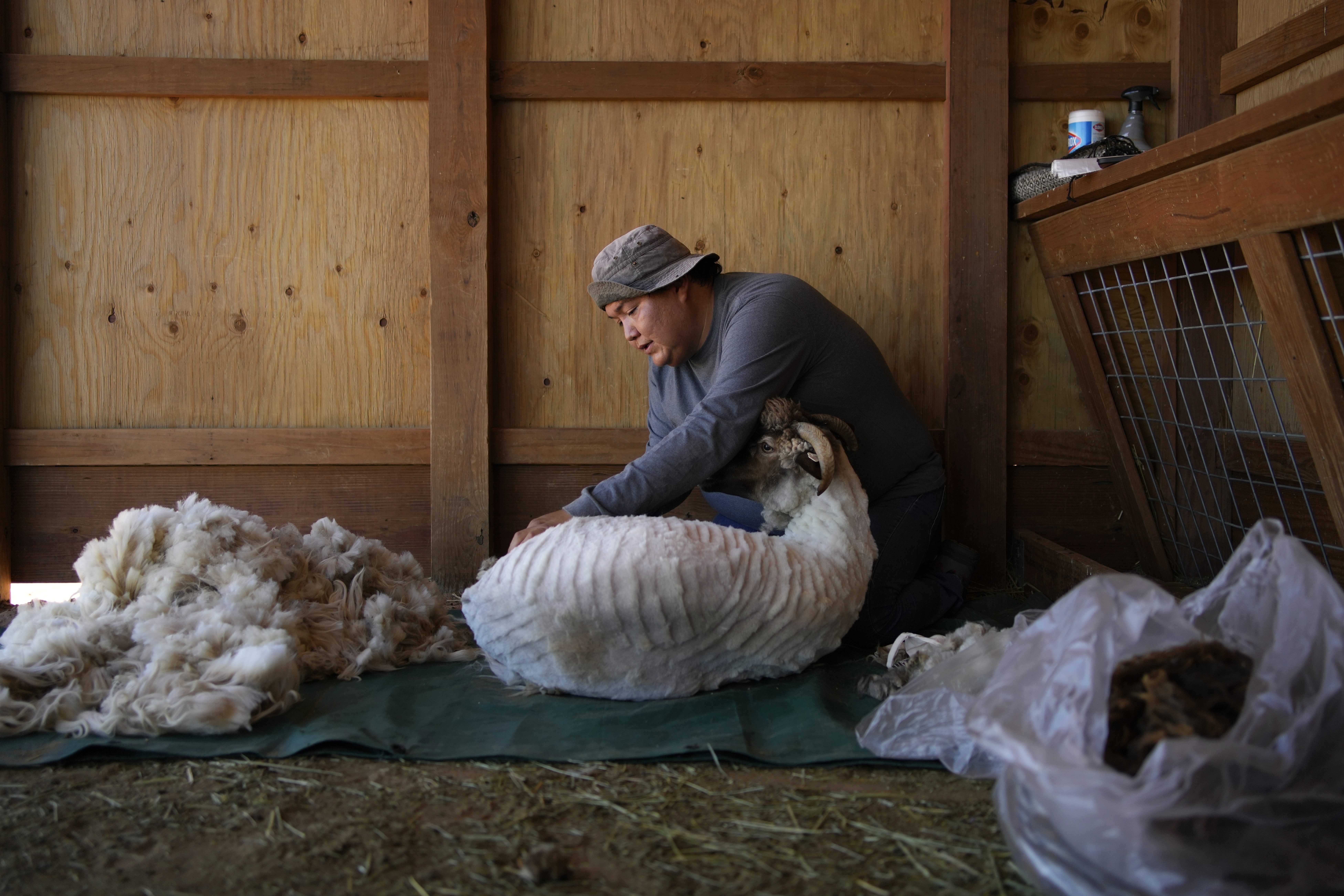 Climate Navajo Sheep Tradition