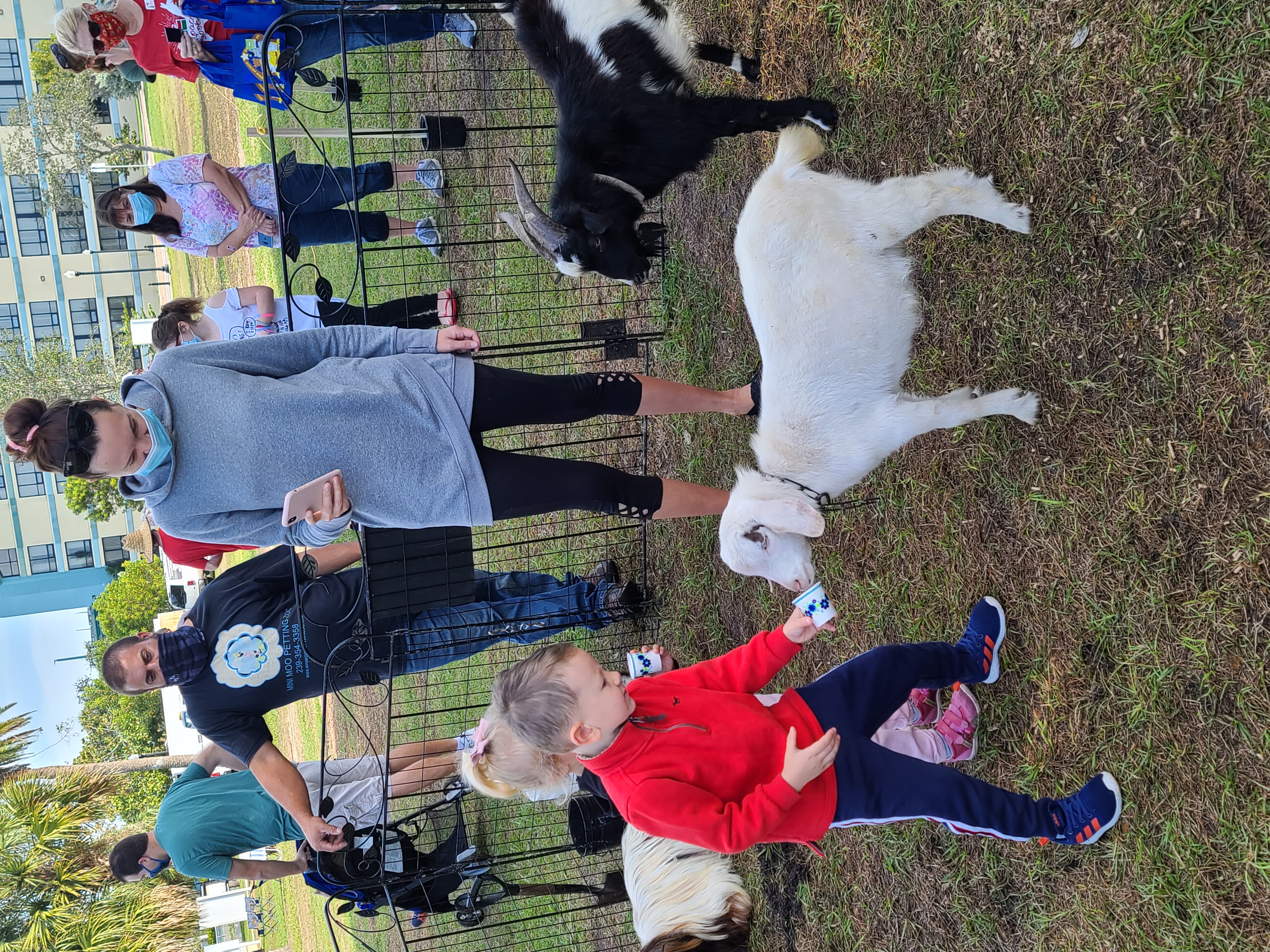 First Methodist petting zoo