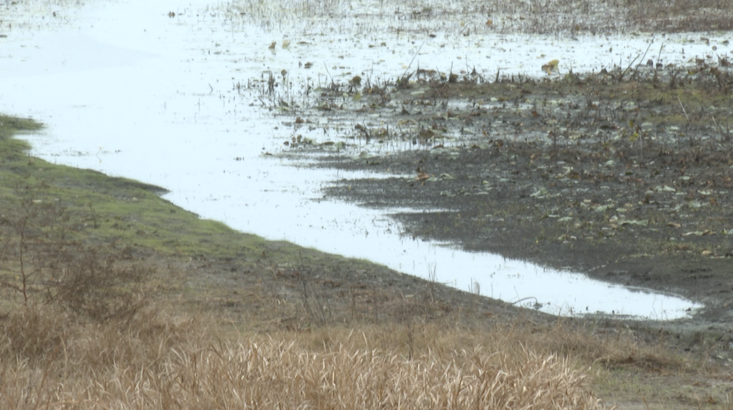 Development halts for area north of Lake Jackson 