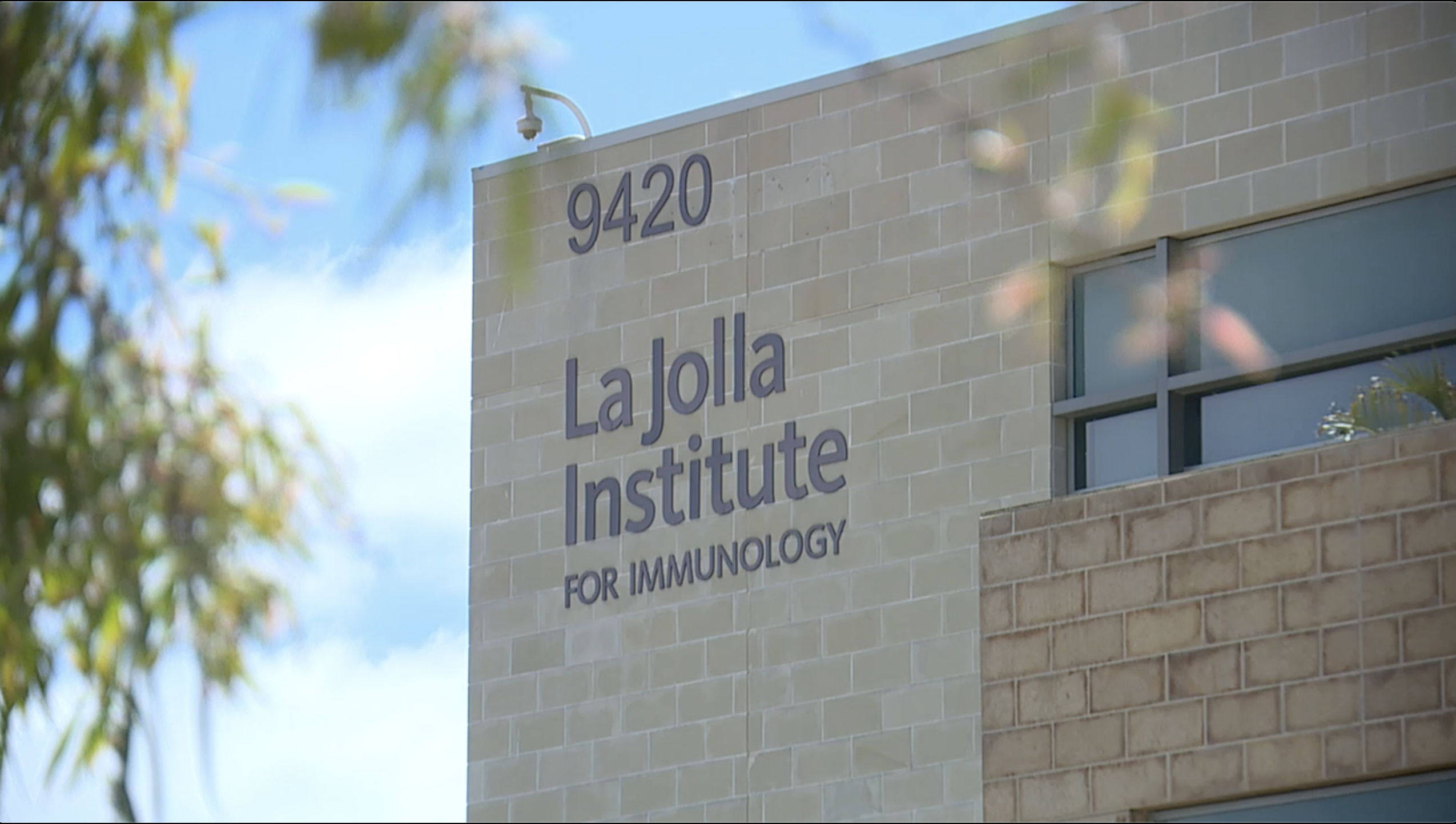 La Jolla Institute for Immunology