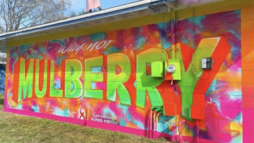Why-Not-Mulberry-mural.png