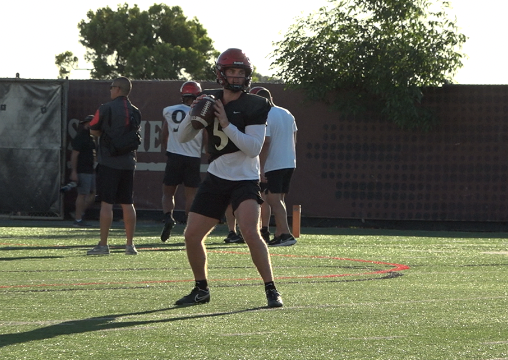 bermeister qb.png