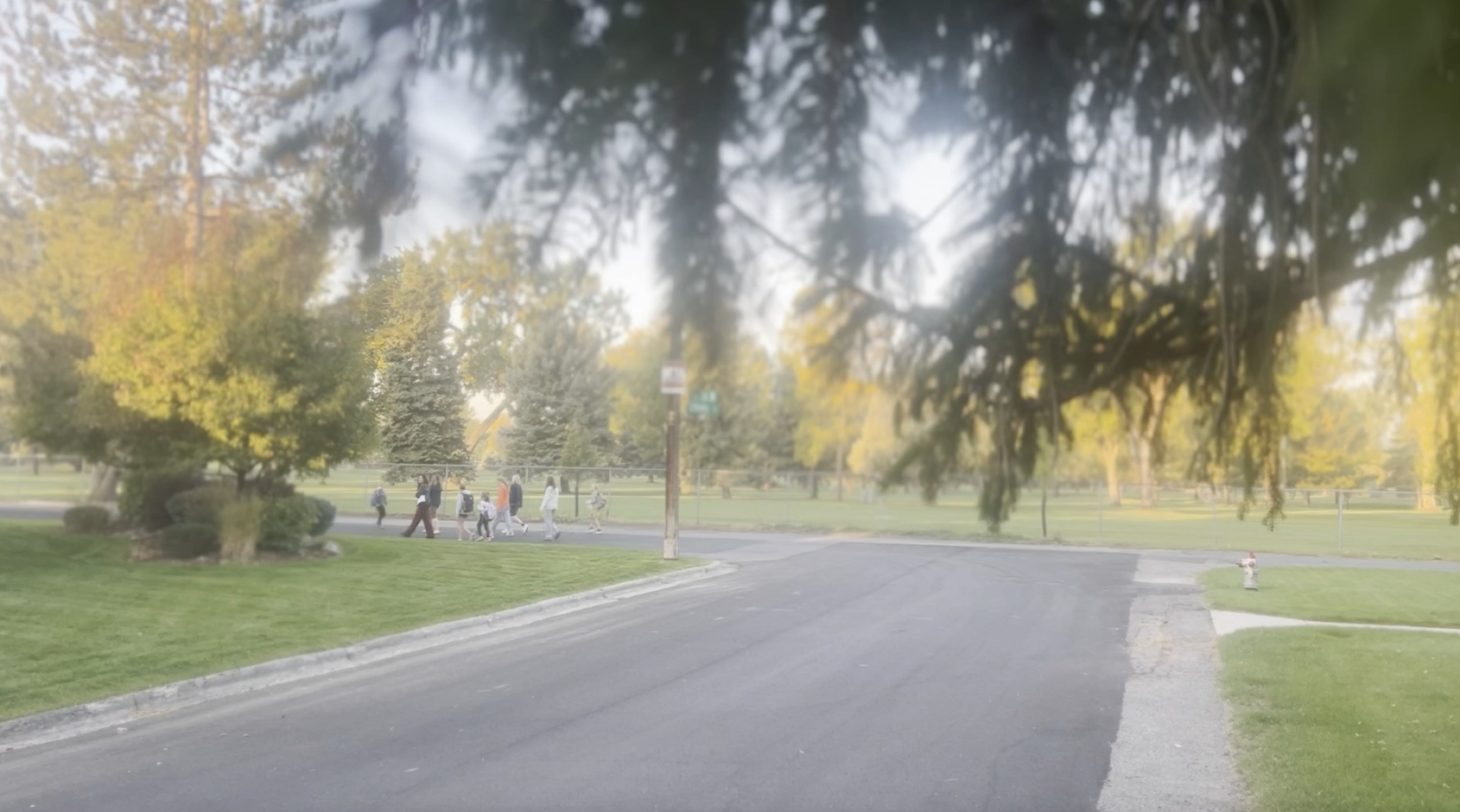 Screenshot 2024-10-10 at 4.24.15 PM.png