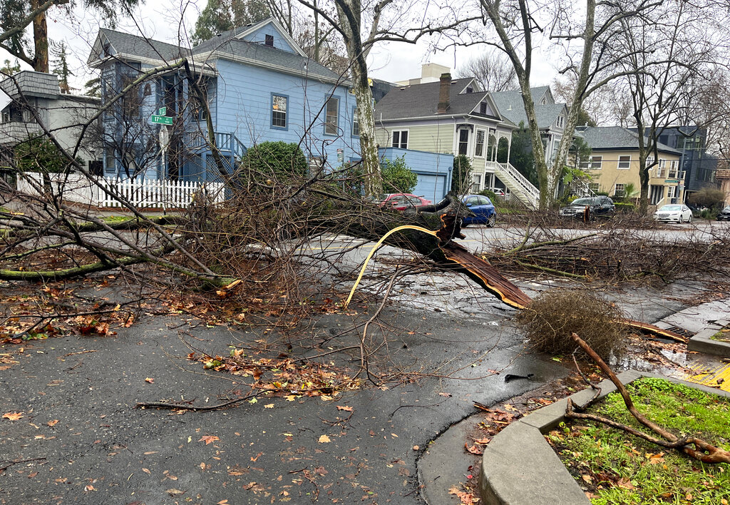 California Storms Sacramento Trees