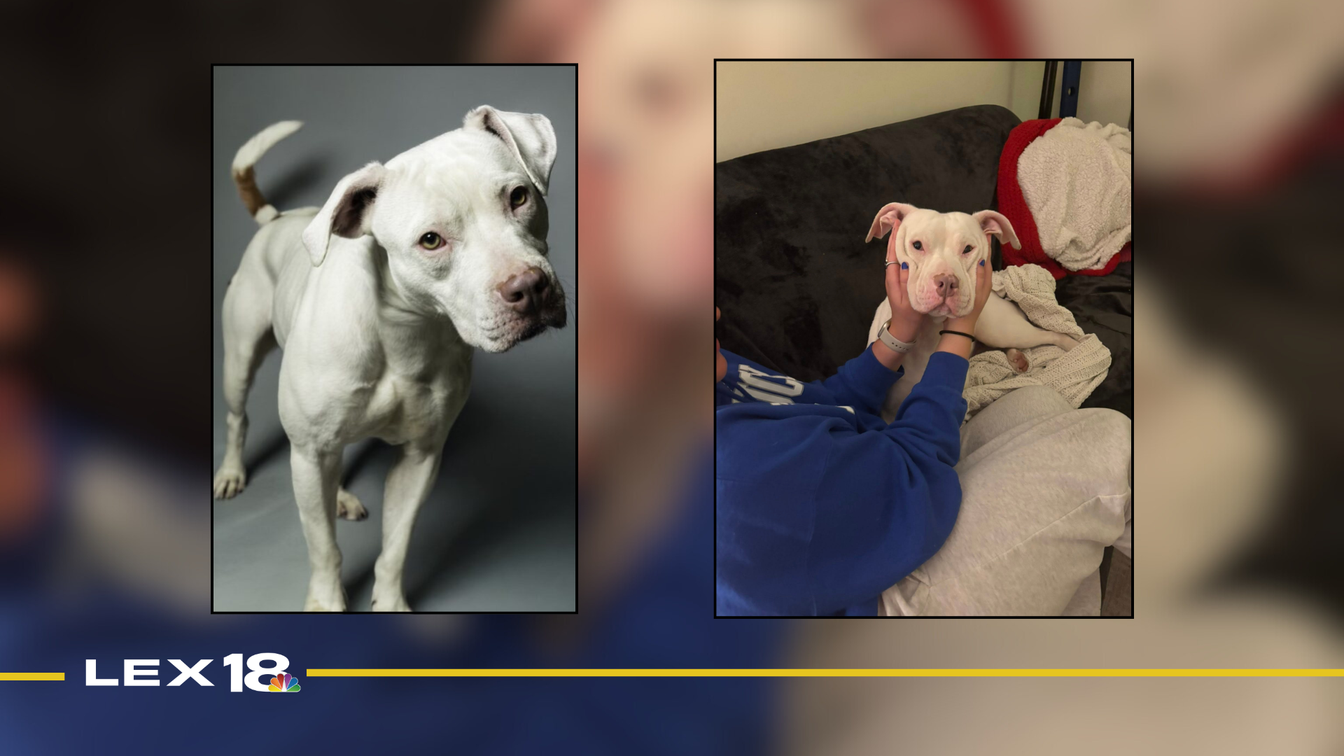 Featured Image Custom Edit (25).png