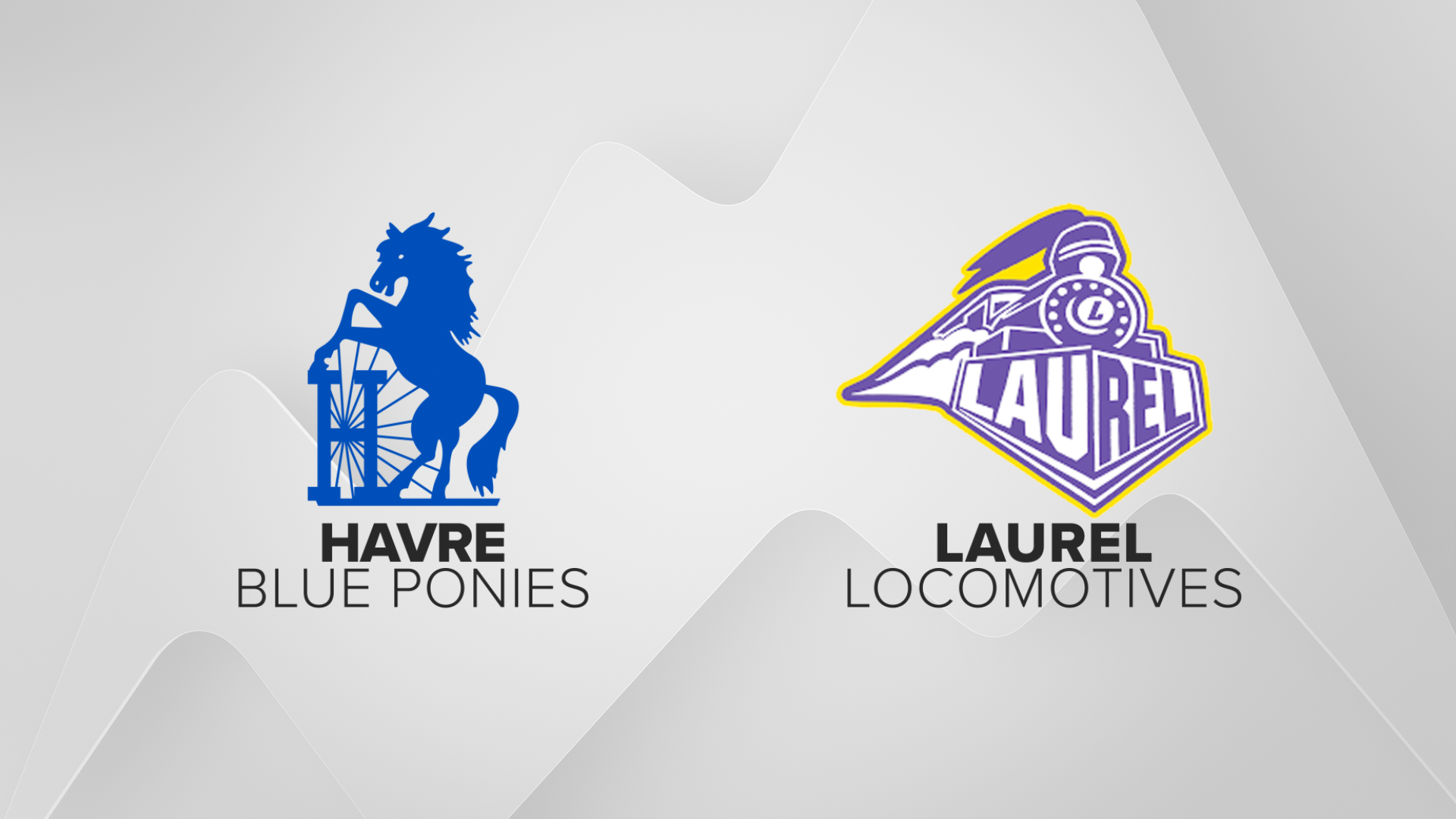 HM Sports Havre Laurel.png