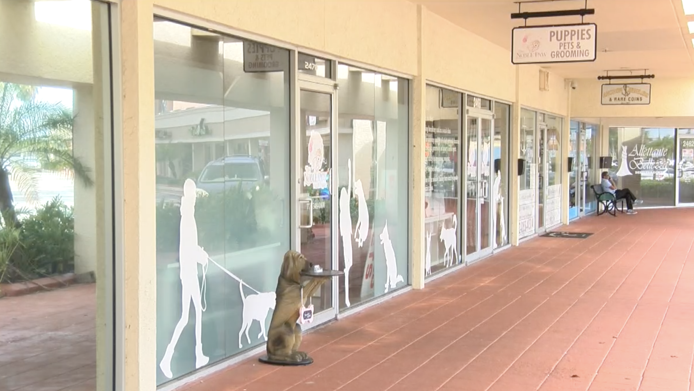 Noble Paw Martin County.png