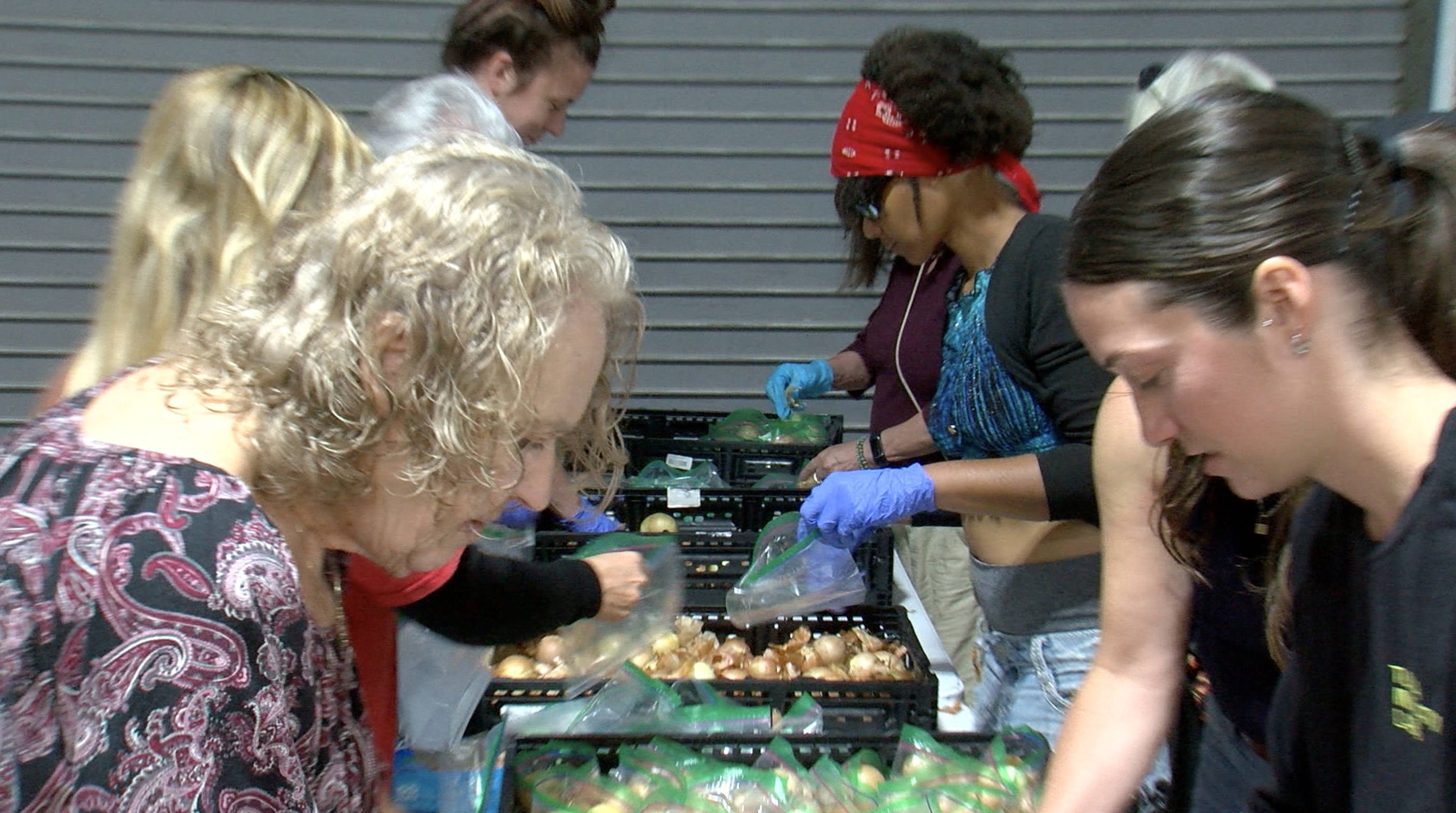 FOTM volunteers 1.png