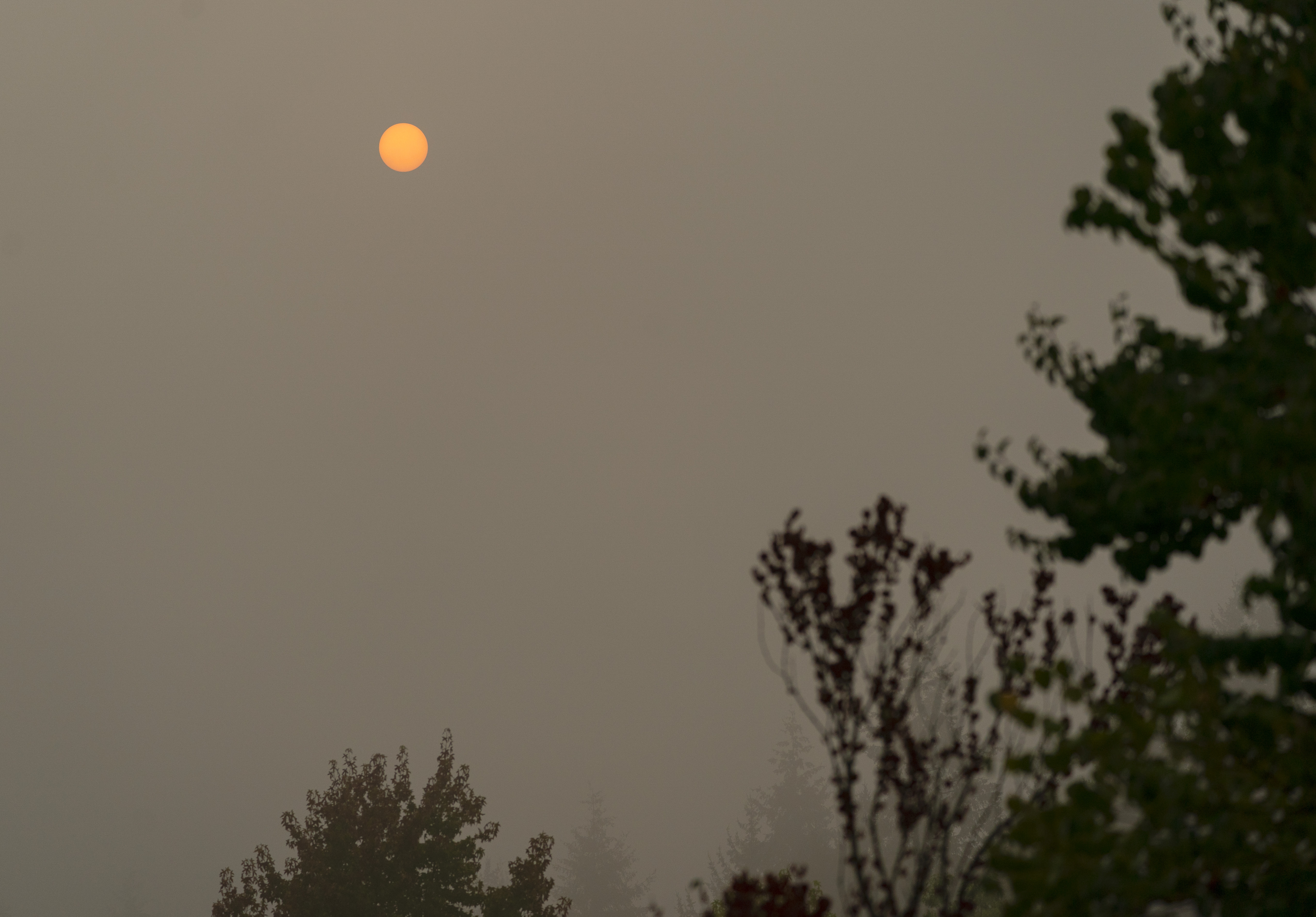 Western Wildfires smoke