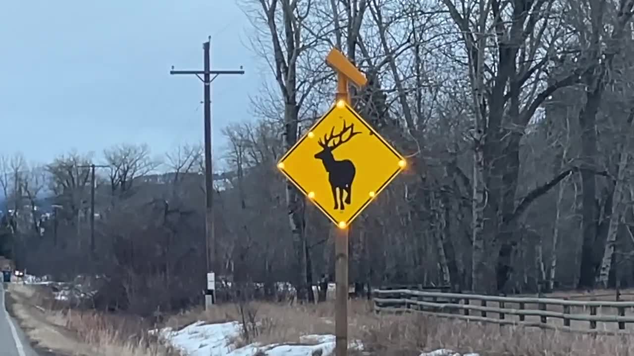 elk sign.jpg