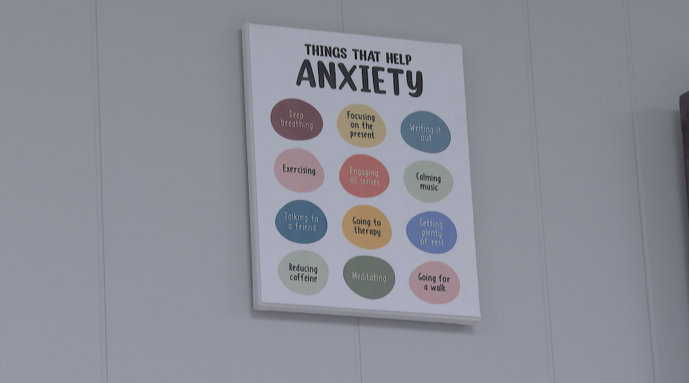 Anxiety immigration misinformation