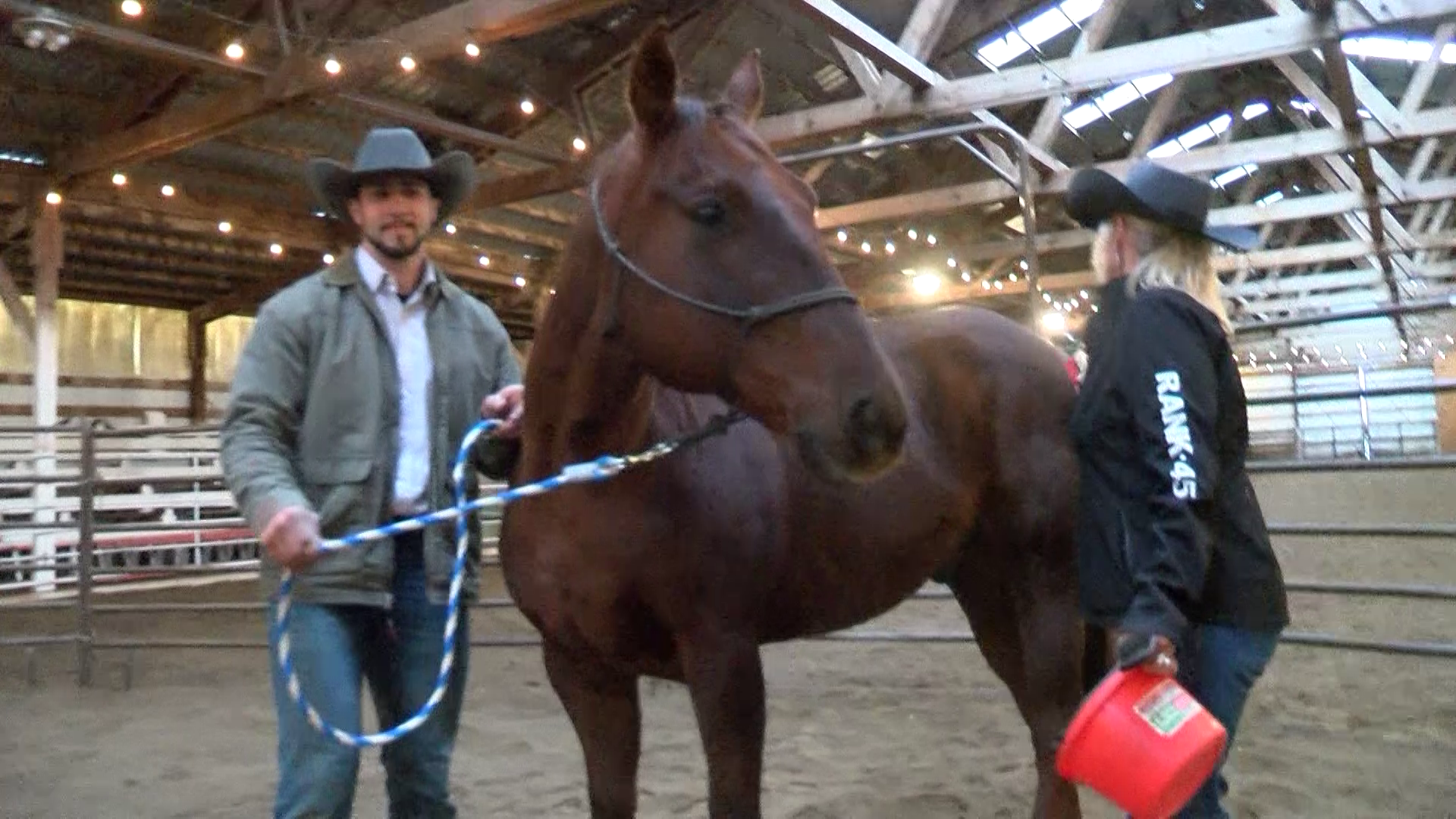Healing With Horses