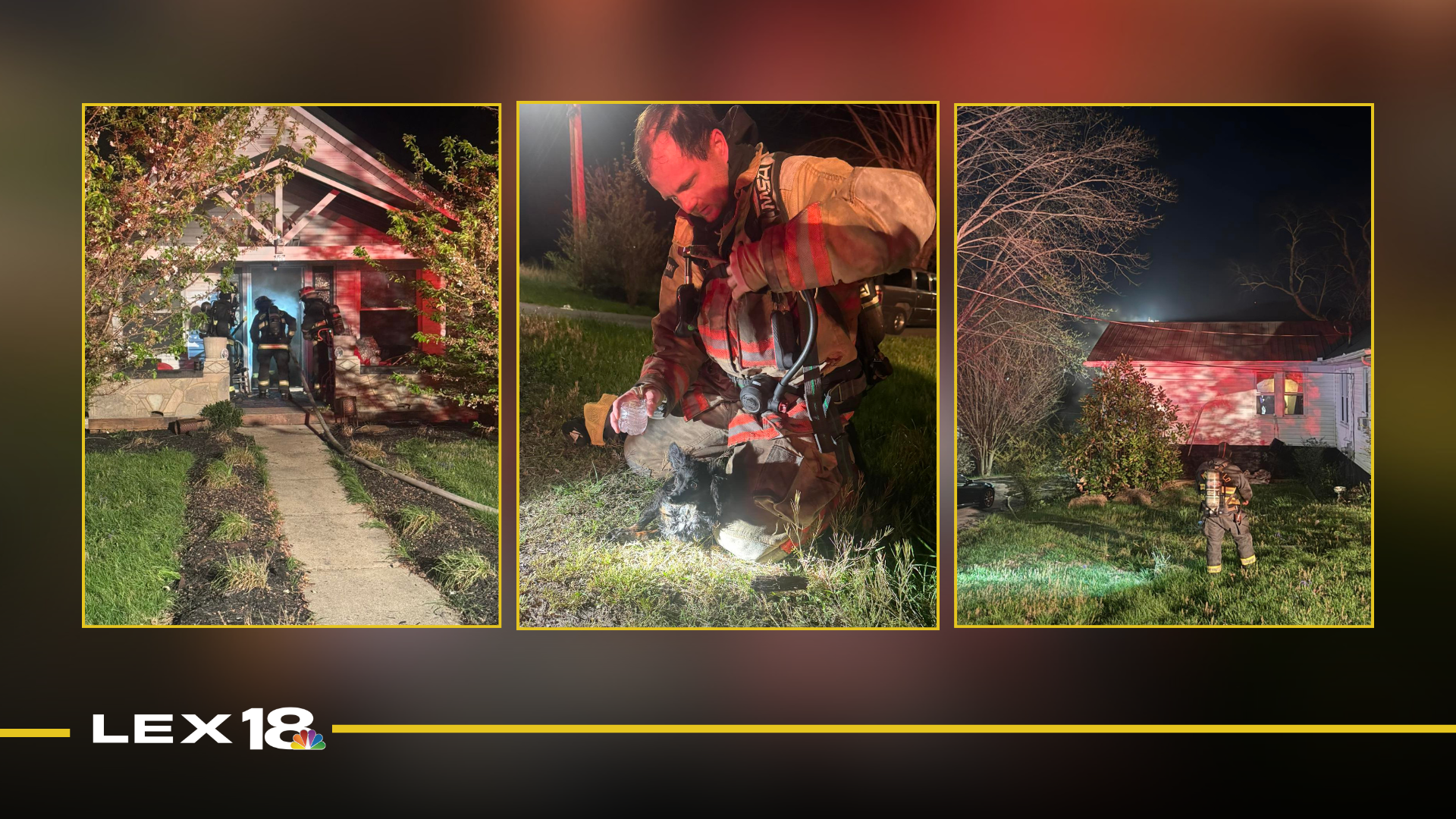 Featured Image Custom Edit (44).png