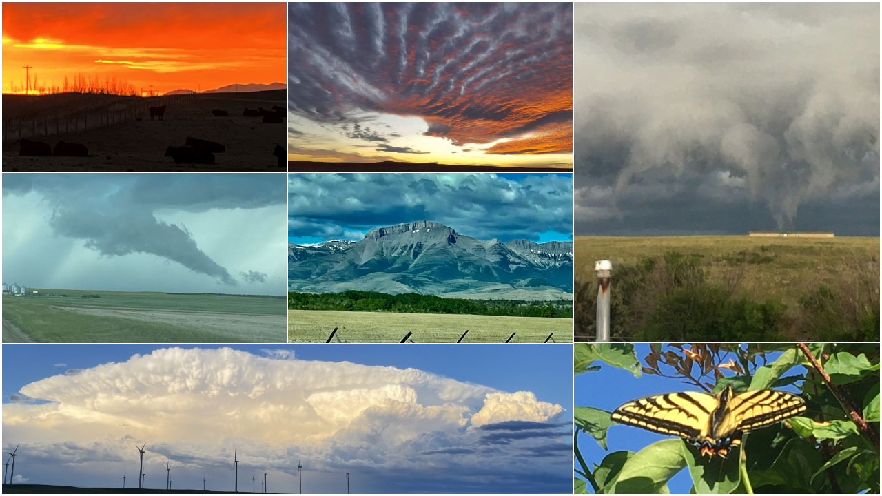 Recent viewer photos (July 11, 2022)