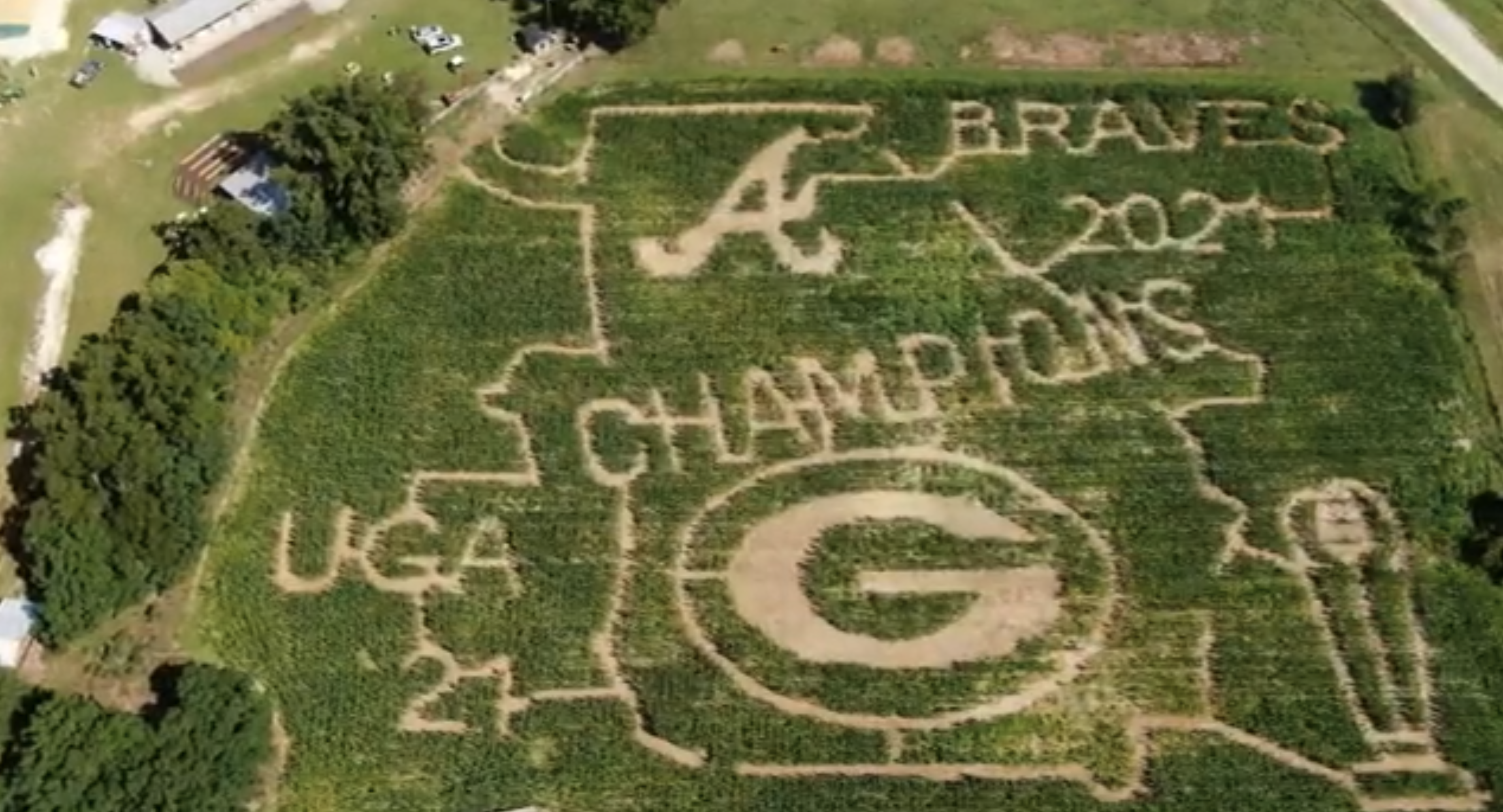 corn maze braves augusta georgia