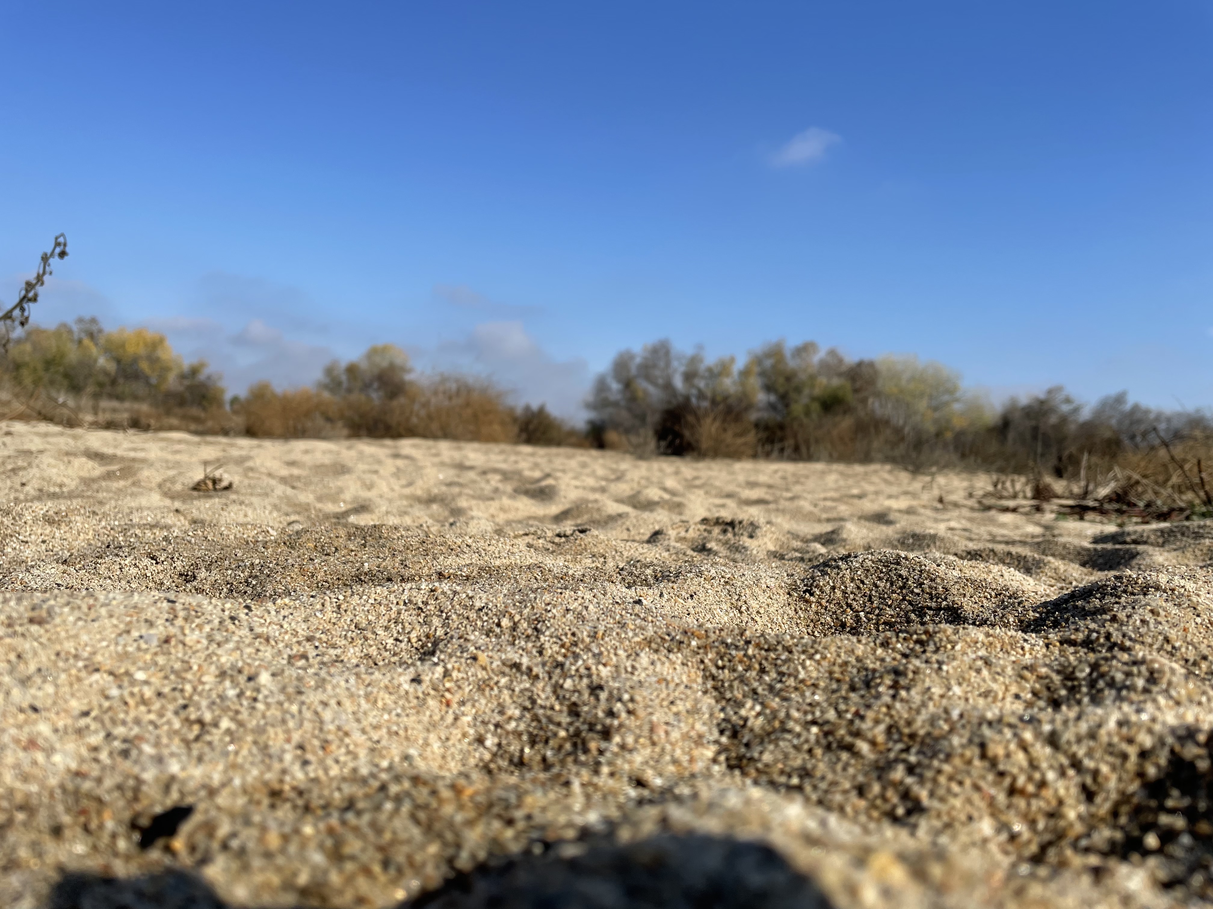 Kern River December 10, 2021