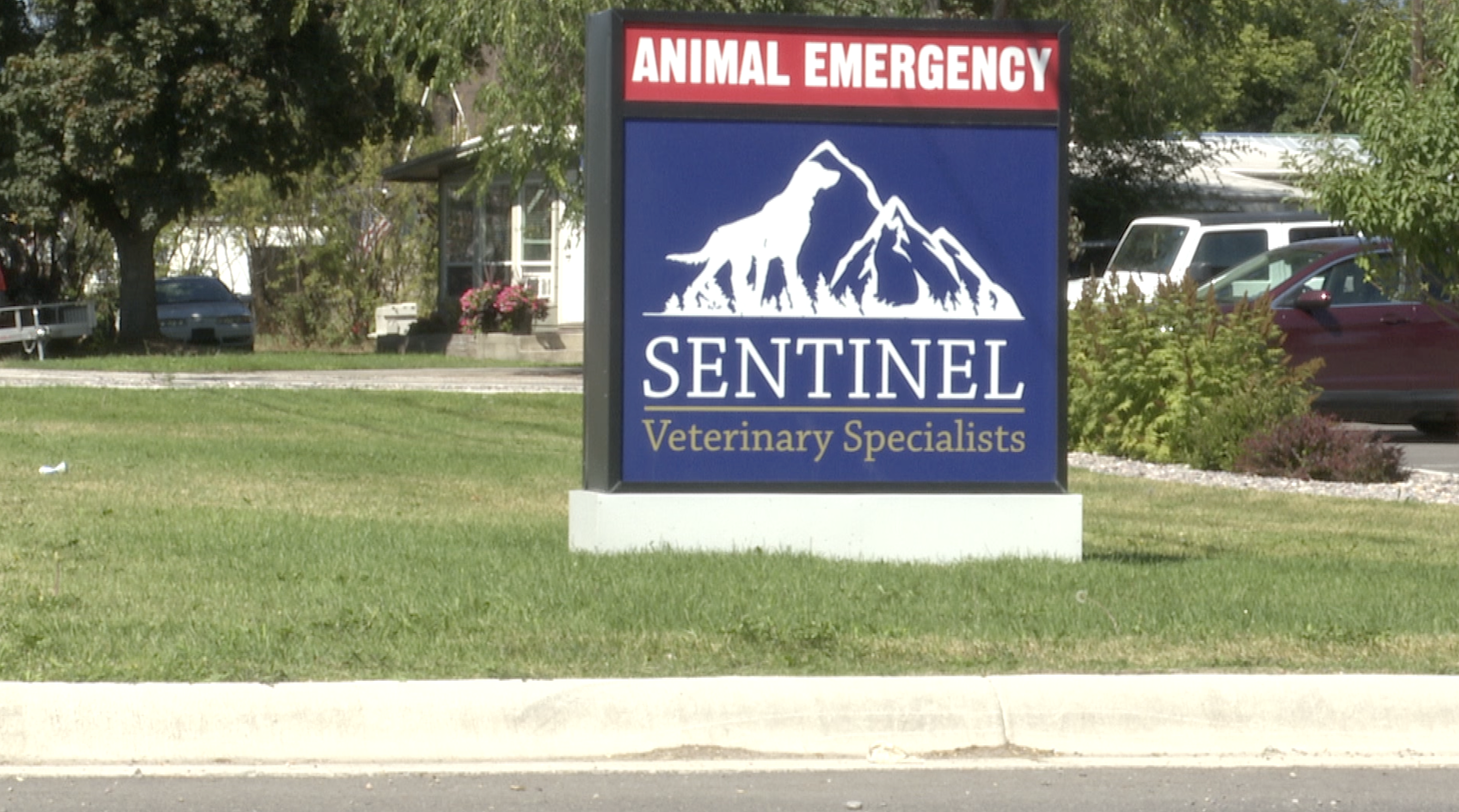 Sentinel Veterinarian Specialists and Emergency sign Missoula Mt.